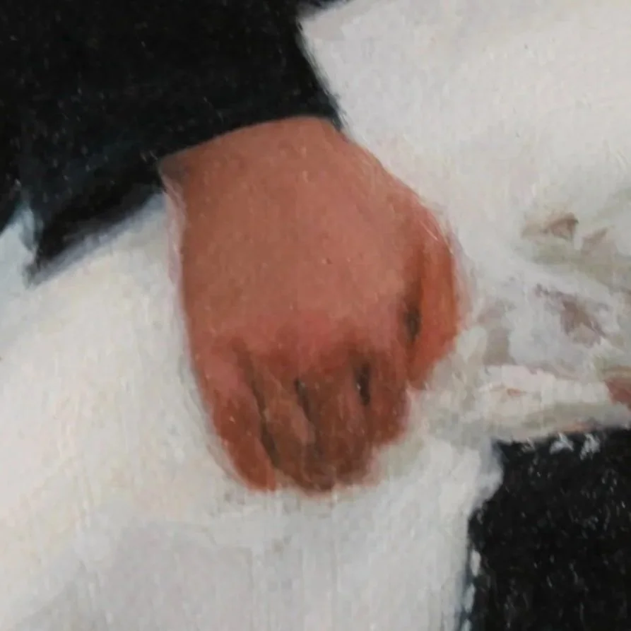 Close-up of a dog's nose and mouth, showing black and white fur.