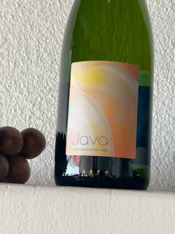 What&rsquo;s good this week? 
🎺 Live jazz Thursday and Friday led by Joey Sellers
🍾 Natural wine from @borgopaglianetto @hansonvineyards @agricola_i_forestieri and more
🍝 Some new pastas added to our dinner menu courtesy of @possecalifornia 

Come