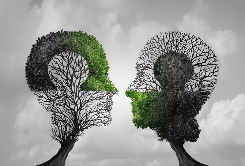 Deux arbres sculptés en forme de deux visages de profil se regardant, avec du feuillage vert et noir, contre un ciel nuageux.