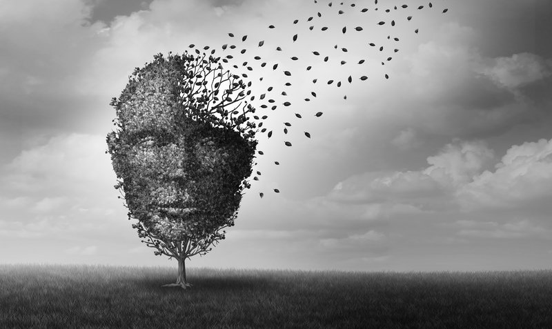 Un arbre dont la tête est une face humaine composée de feuilles, avec des feuilles qui s'envolent dans le ciel.