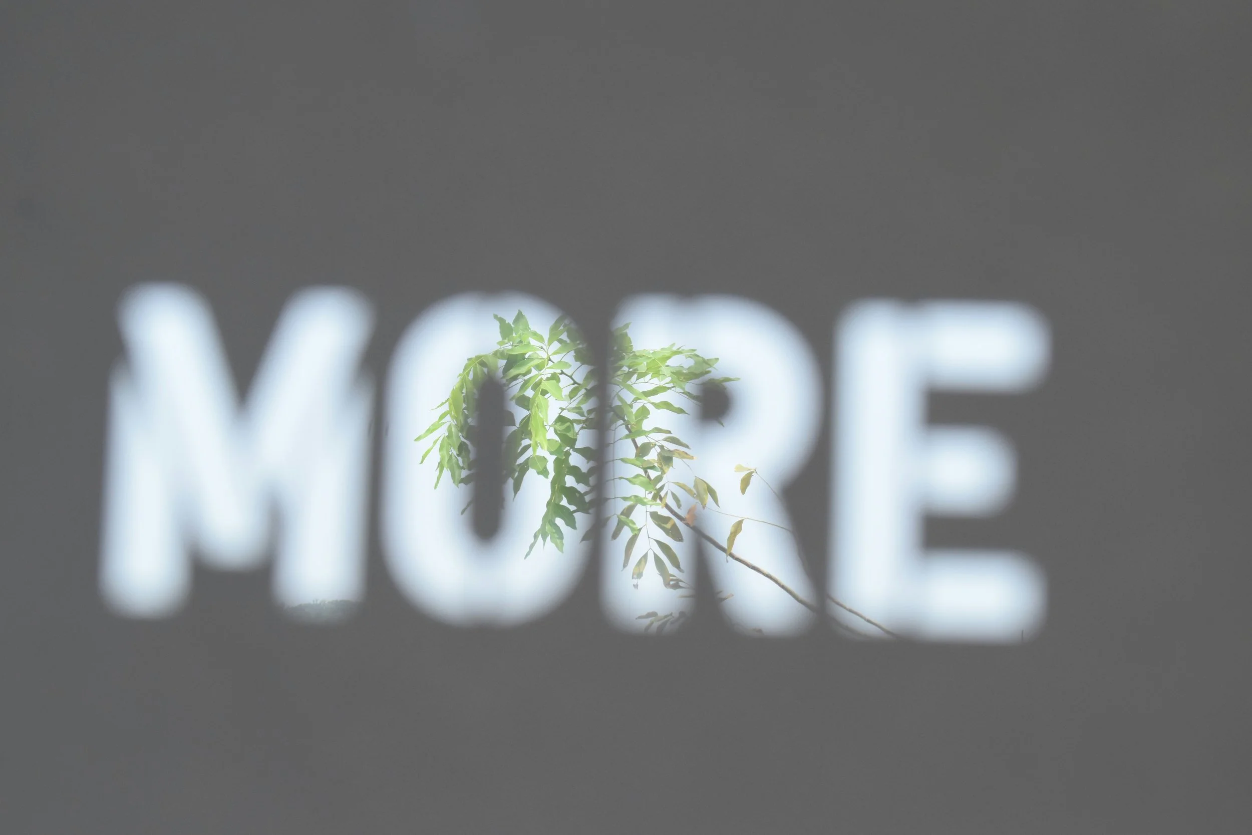 View of green leaves and tree branches seen through a perforated surface with the word 'LOVE' cut out, during daylight hours.