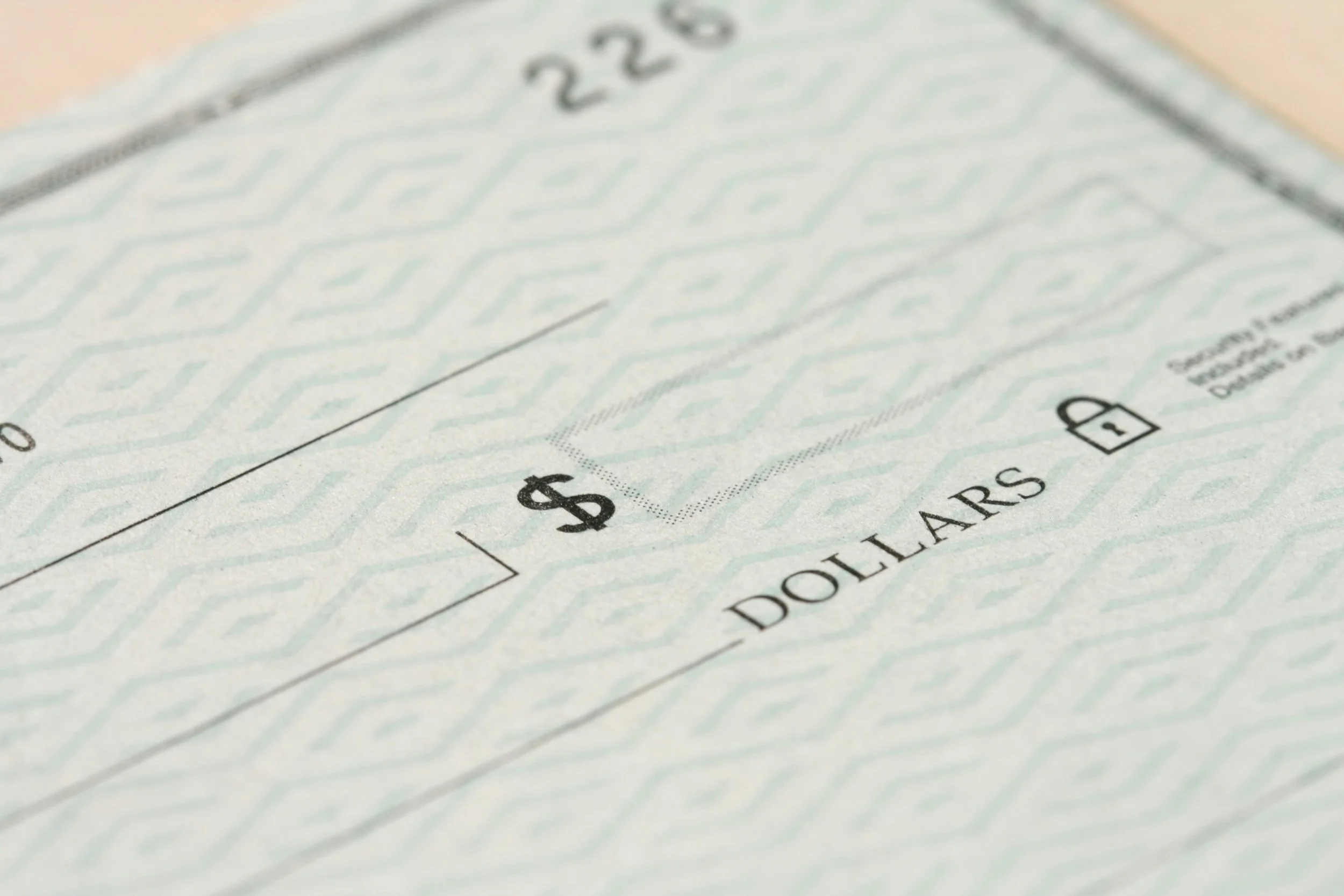 Close-up of a check showing the dollar amount, with a focus on the text and grid pattern.