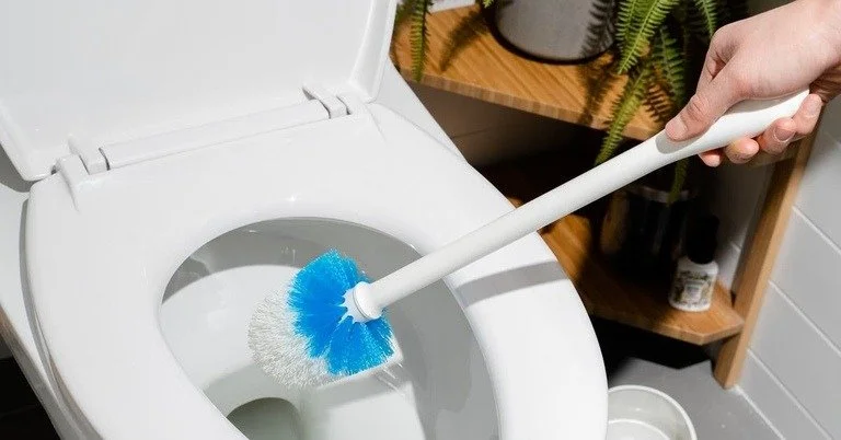 Person using a toilet brush to clean the inside of a white toilet.
