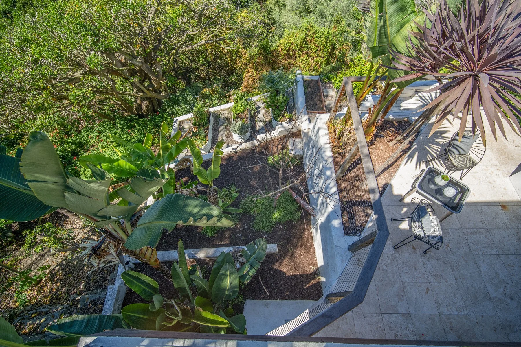 Edible Garden at 1099 Skyline Drive