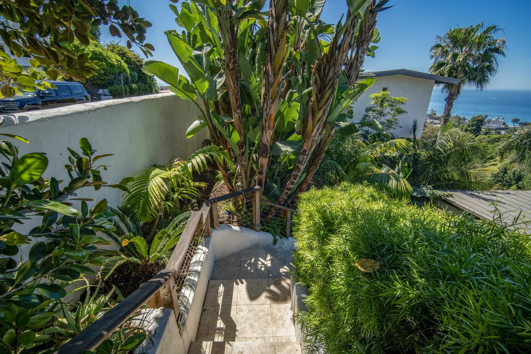 Lush tropical gardens in Laguna Beach