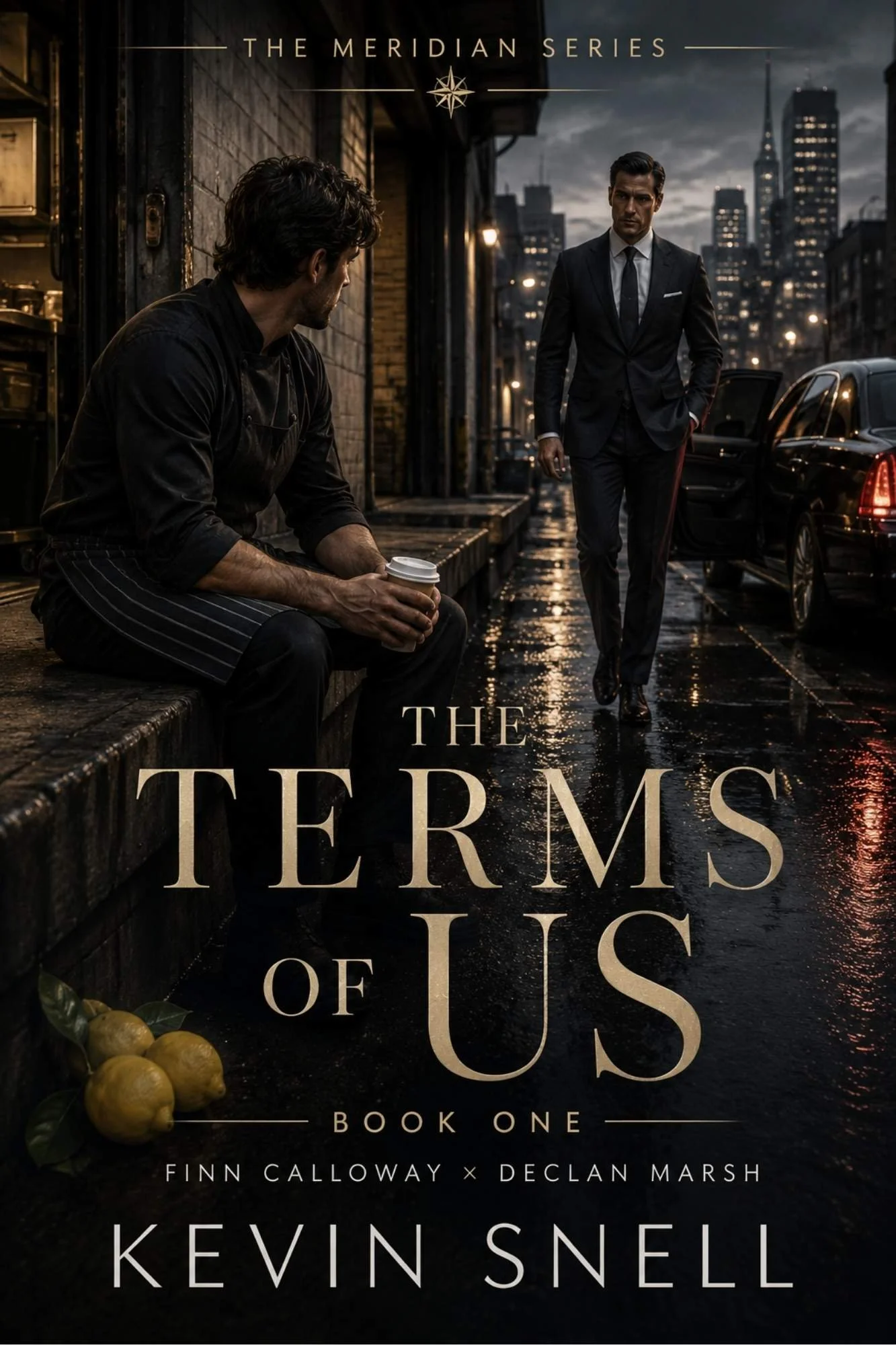 The Terms of Us by Kevin Snell, M/M fake relationship romance with chef, powerful businessman, contract, and city rain