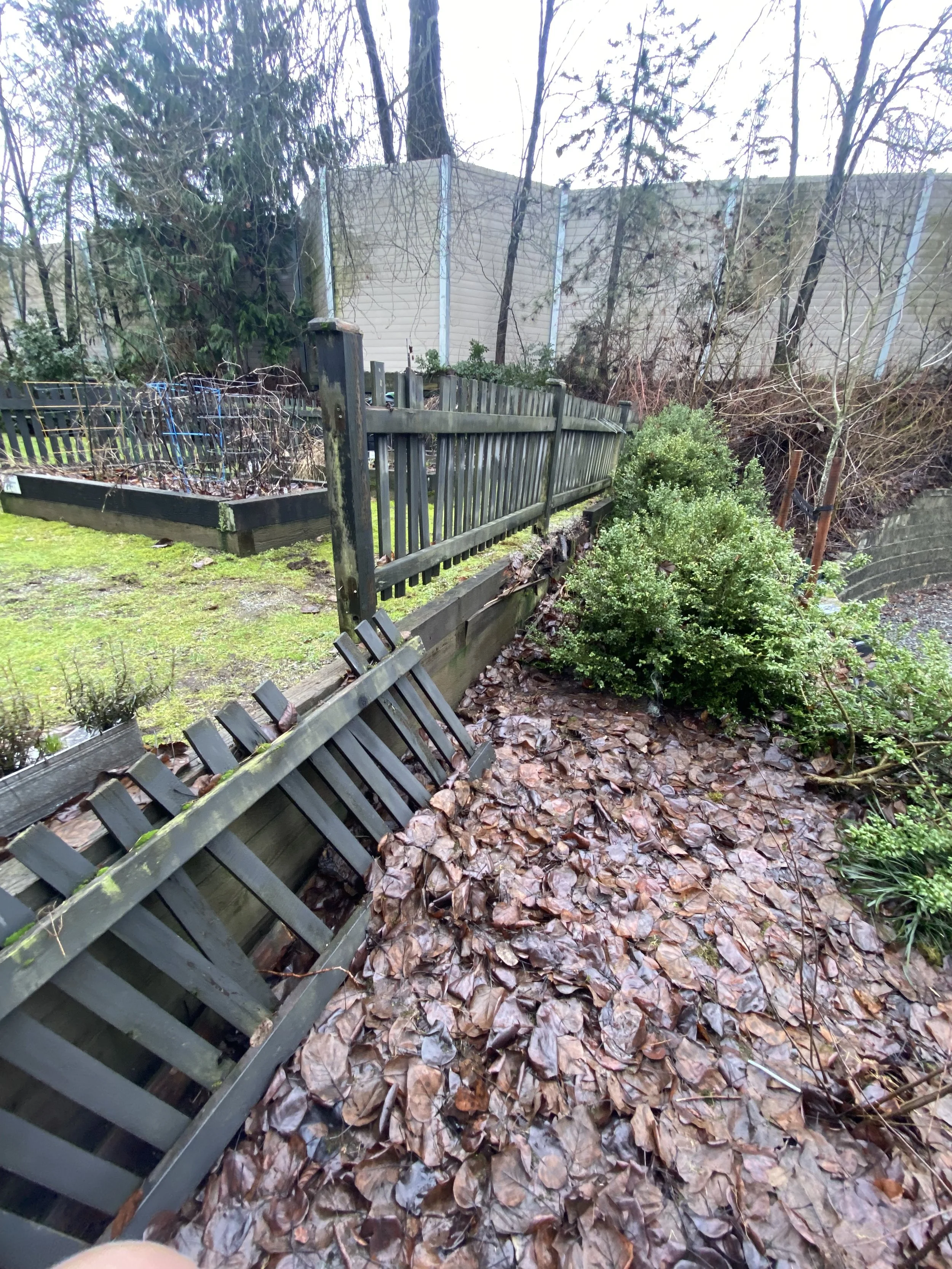 Retaining Wall Replacement - BEFORE