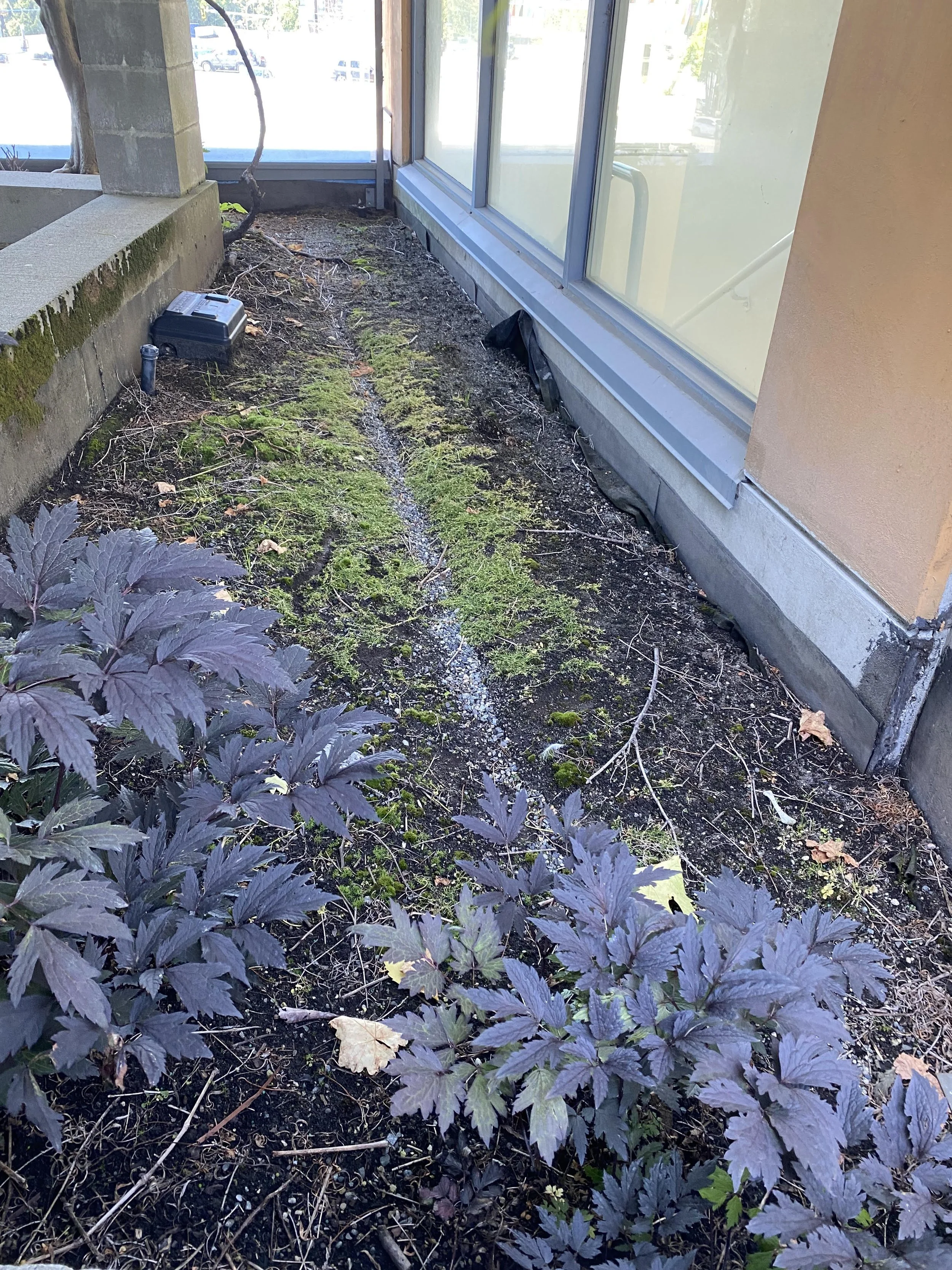 Planter Waterproofing - BEFORE