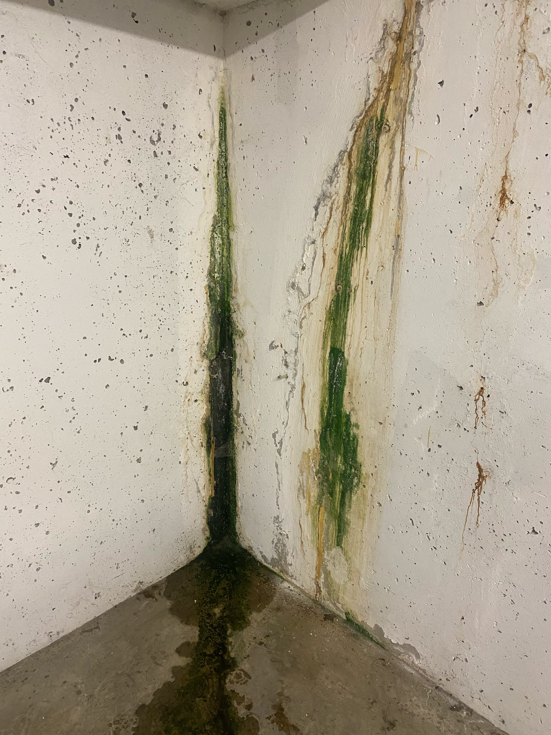 Concrete Leak Repair - BEFORE