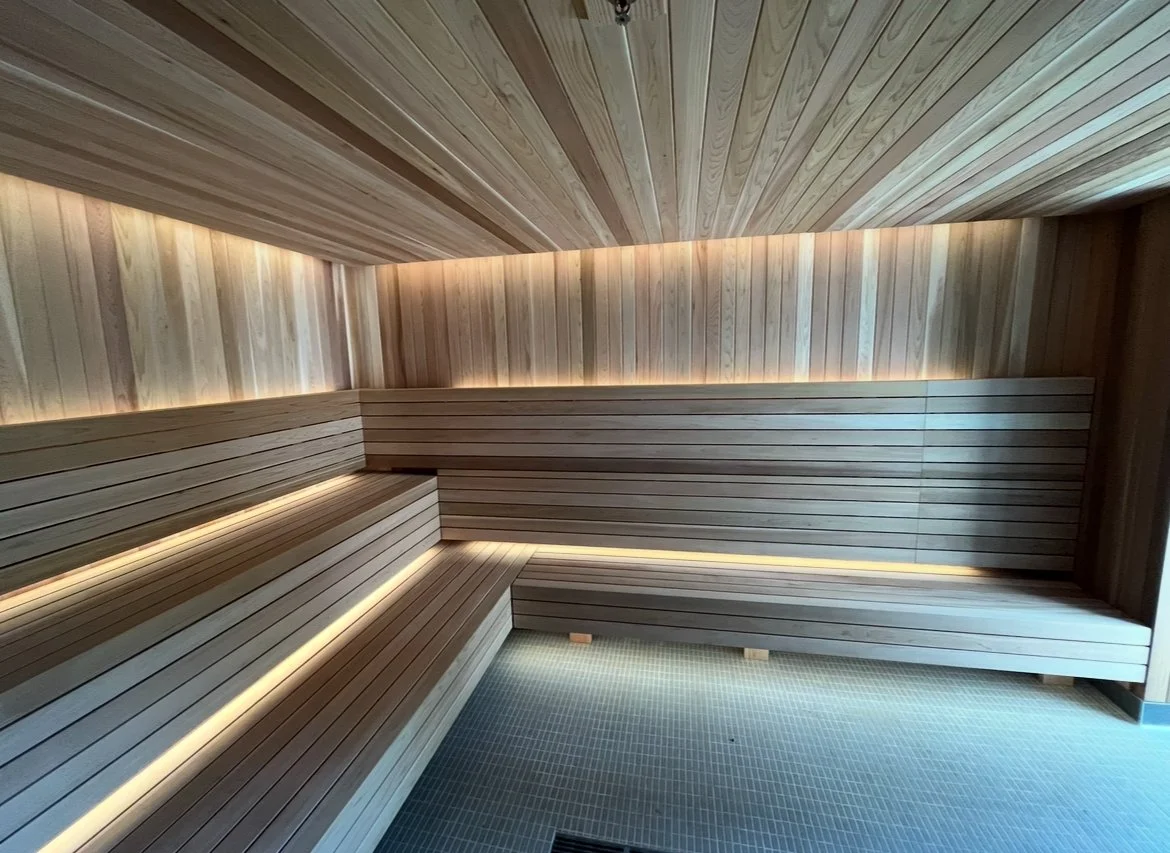 picture of sauna build project