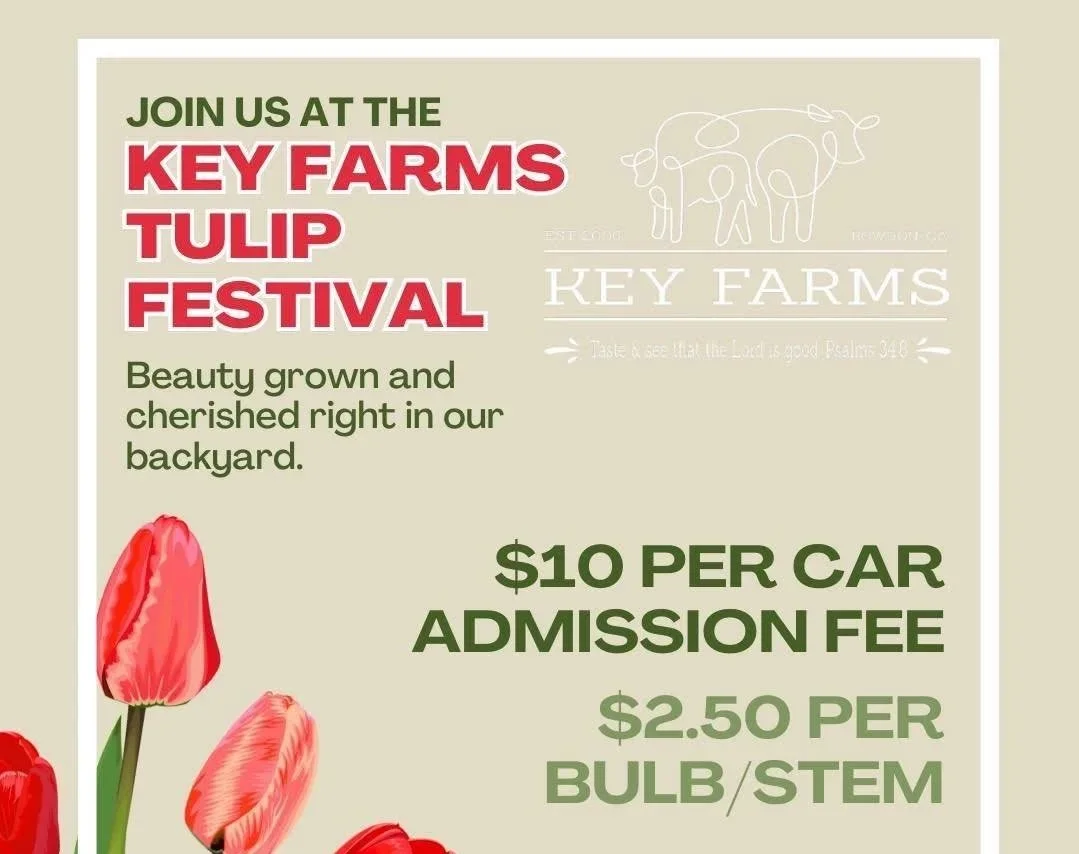 The Key Farms Tulip Festival