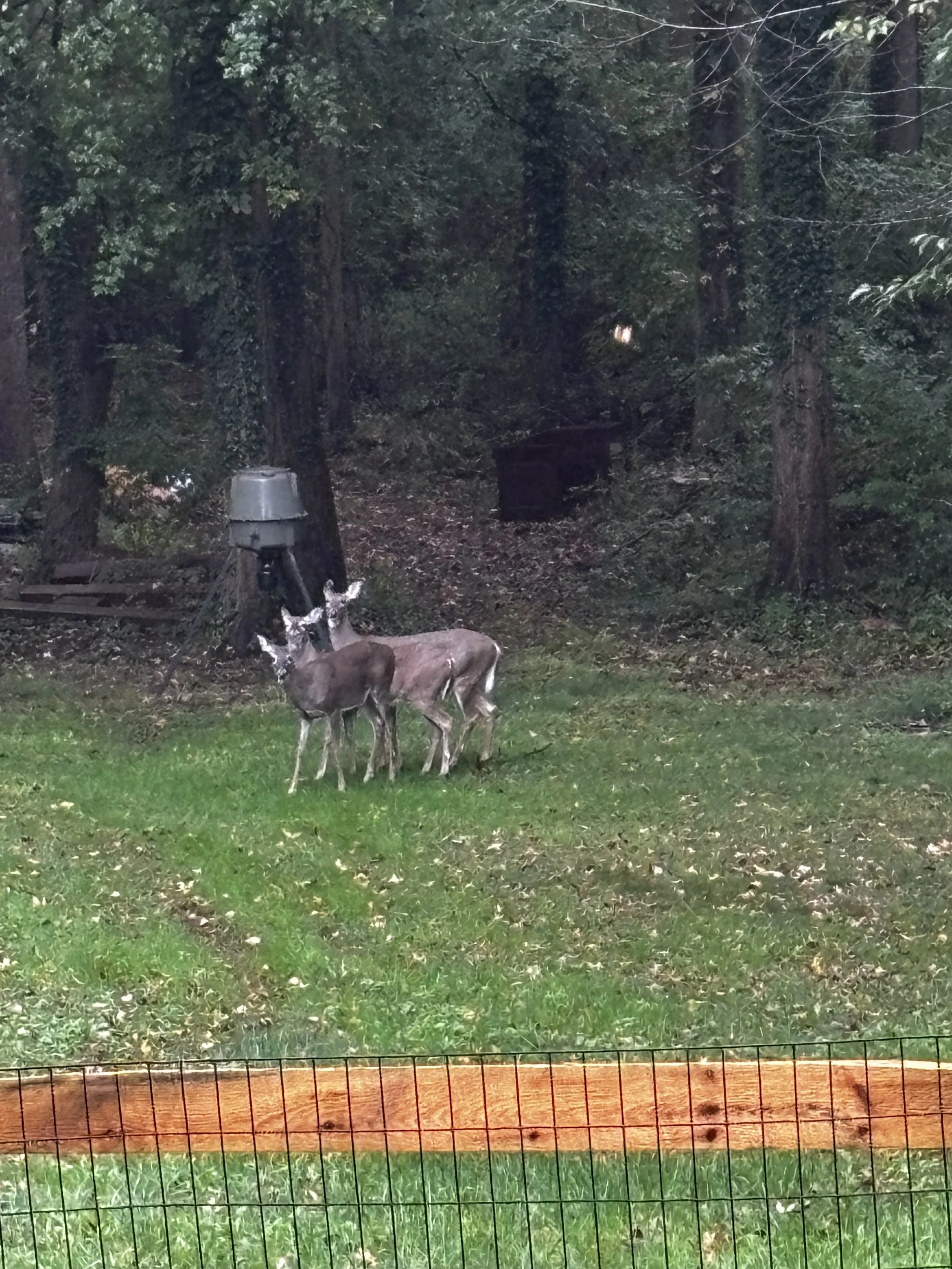 lawn care-family business-outdoors-love nature-pride