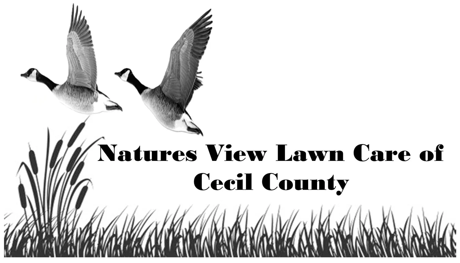 Natures View Lawn Care of Cecil County