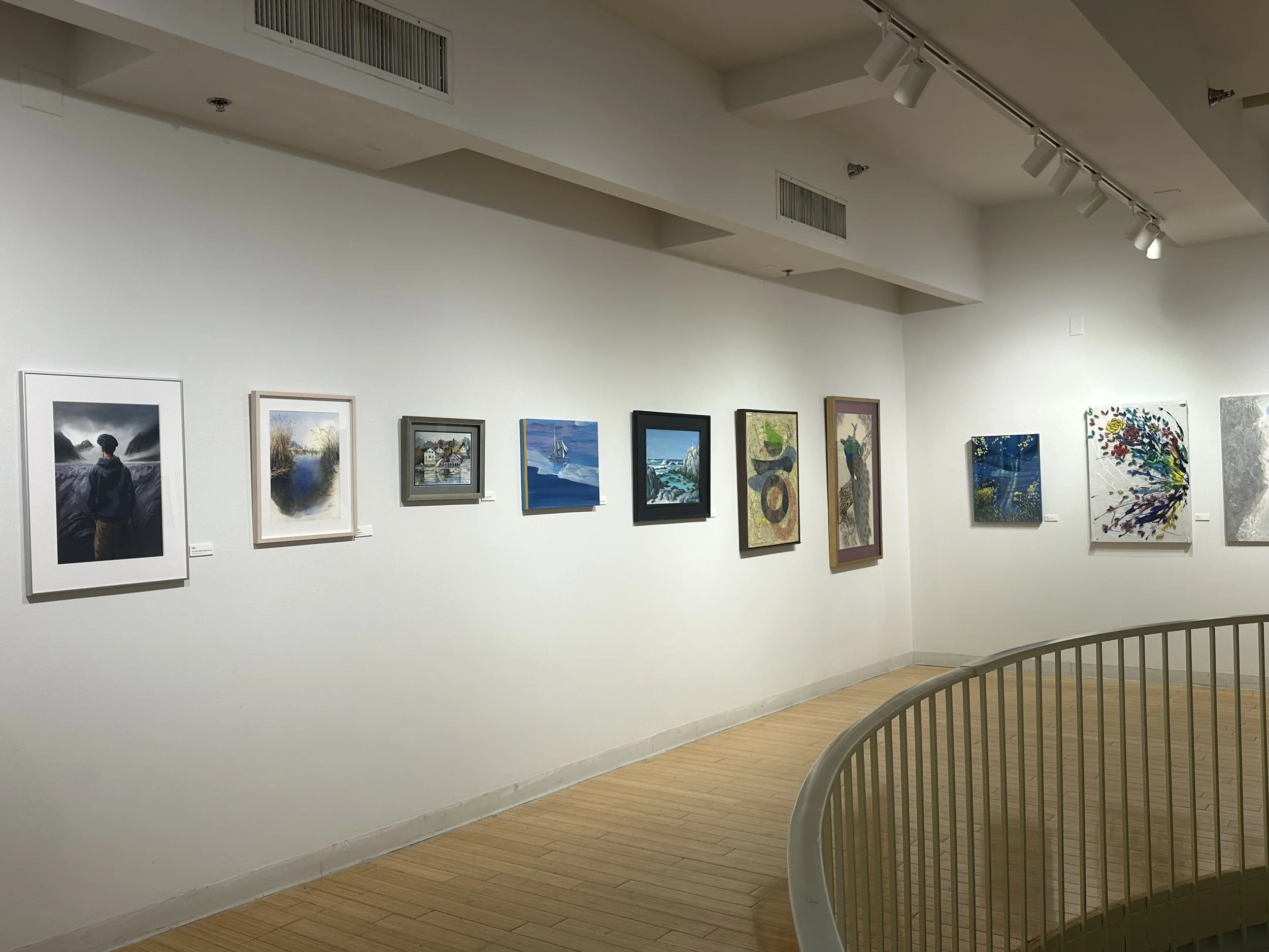 Art gallery with various paintings displayed on a white wall, including landscapes, abstract, and figurative works, inside a room with wooden flooring and track lighting.