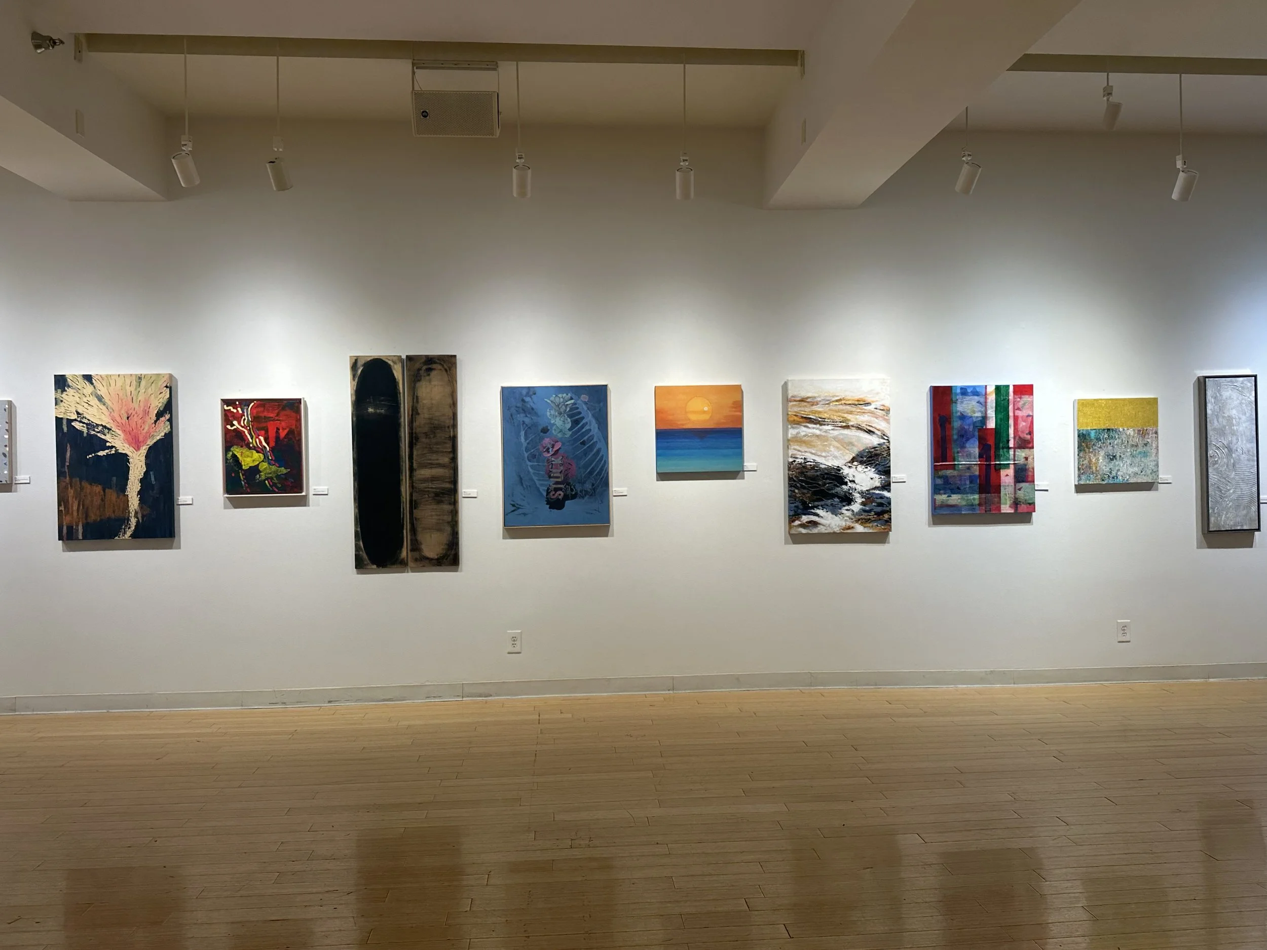 Gallery wall with multiple colorful paintings hung in a row, in a well-lit art gallery with wooden floor.