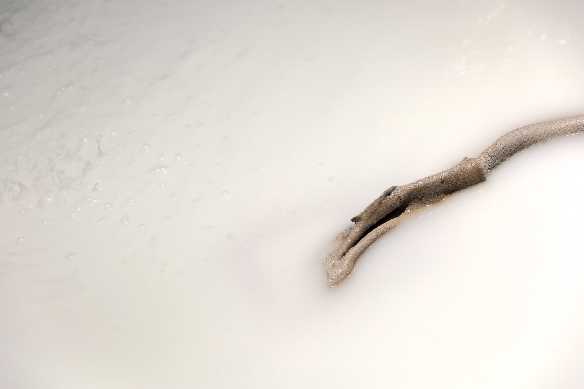 A dark gray, irregularly shaped stick partially submerged in a white, foamy liquid surface.