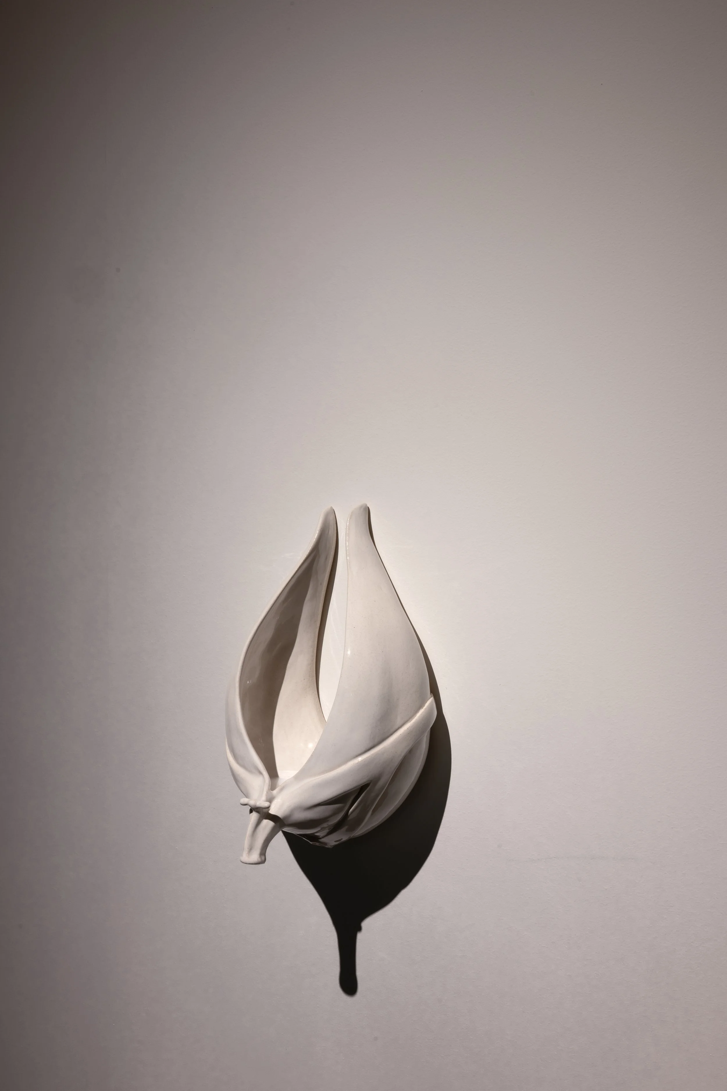 A white ceramic sculpture resembling a flower or shell with flowing, petal-like forms, casting a shadow on a plain wall.