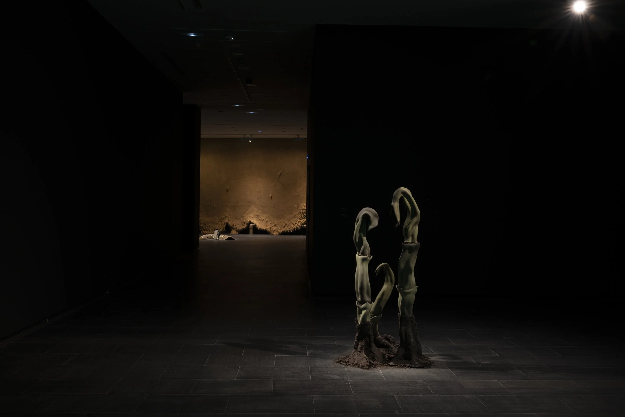 Art installation of three twisted, organic-looking sculptures on a dark gallery floor, illuminated by a single light, with a lit, textured wall in the background.