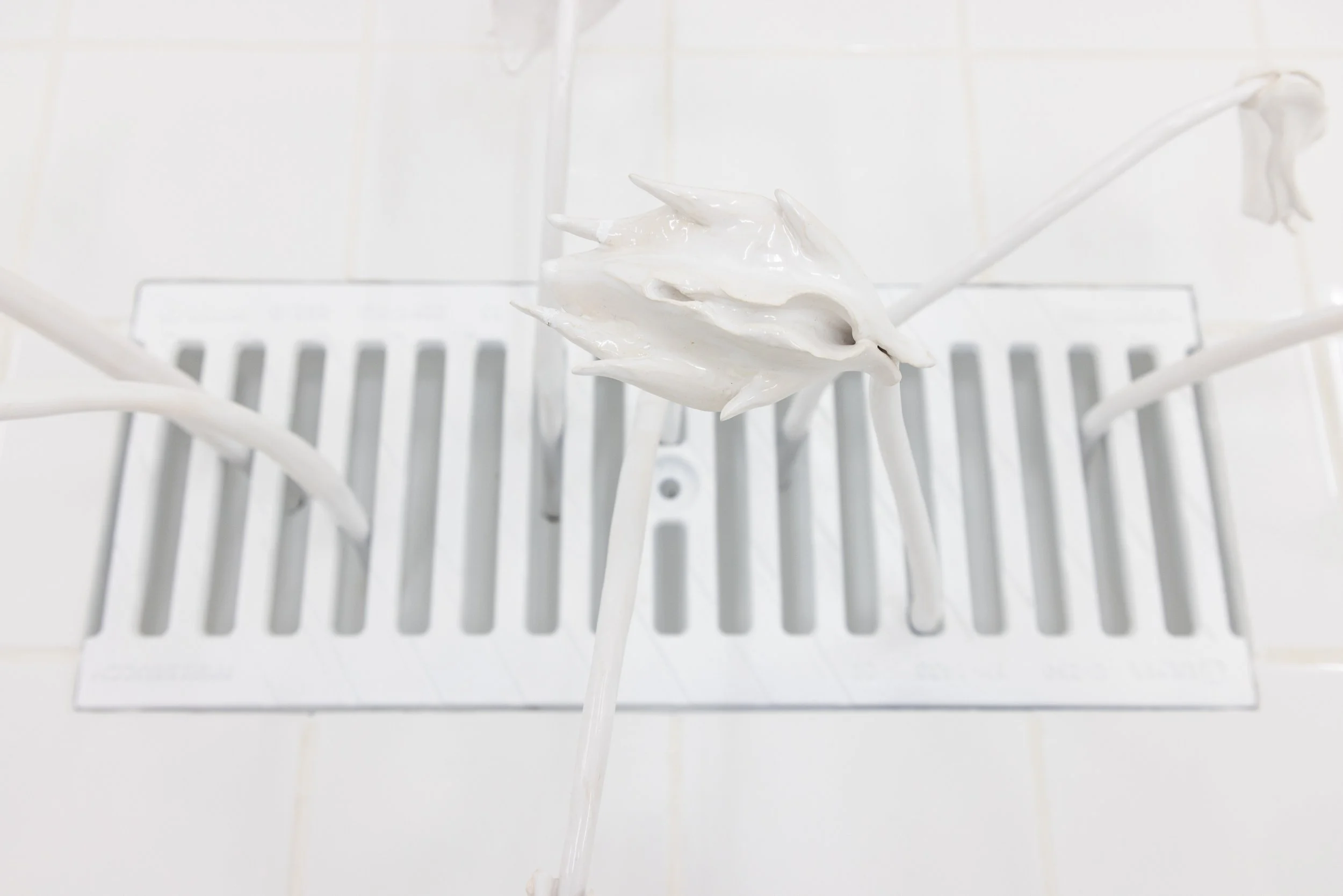 White ceramic fish sculpture on a white shower drain cover