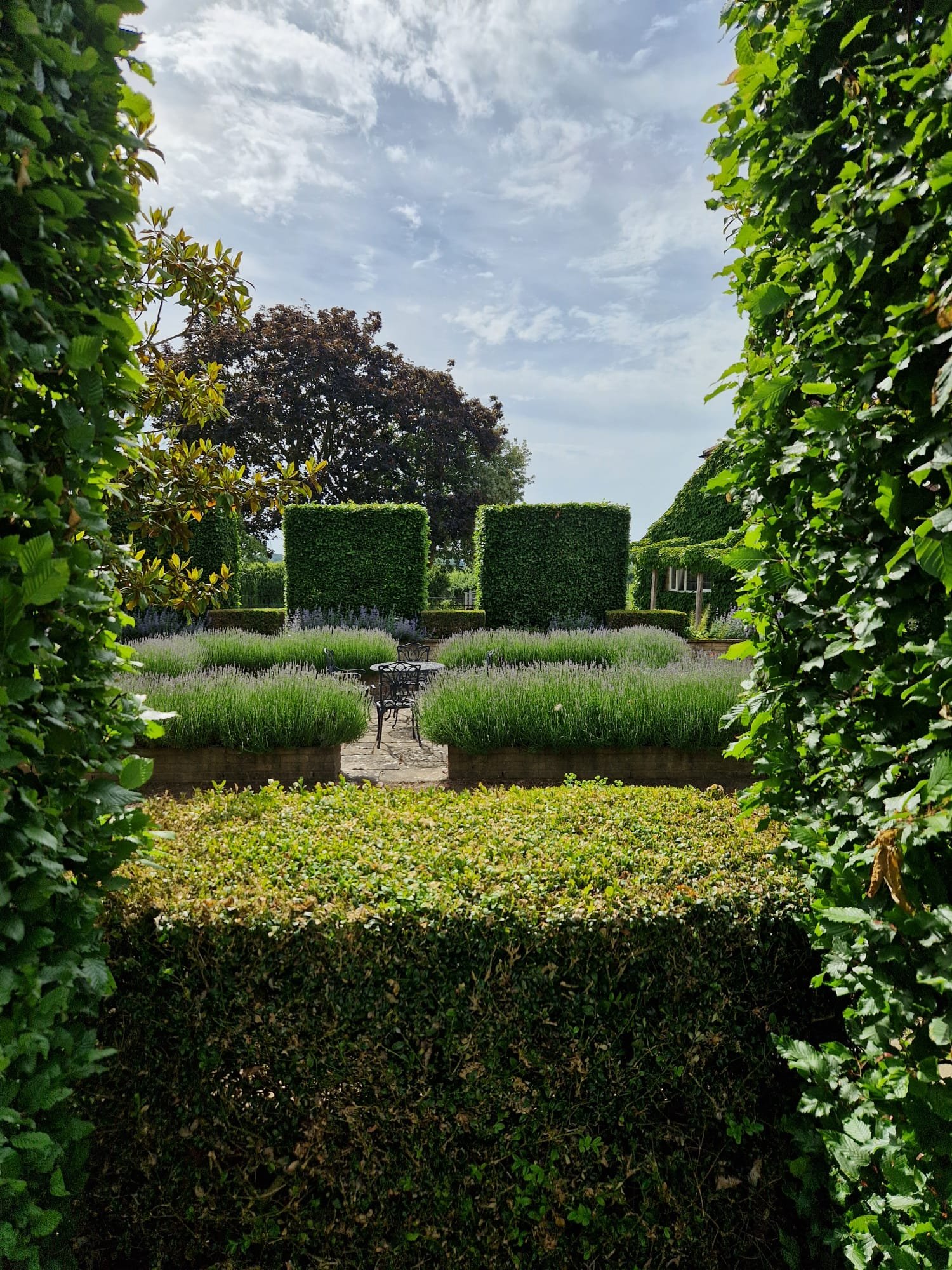 A lush garden view with trimmed bushes, green grass, trees, and a cloudy sky, framed by leafy vines in the foreground.