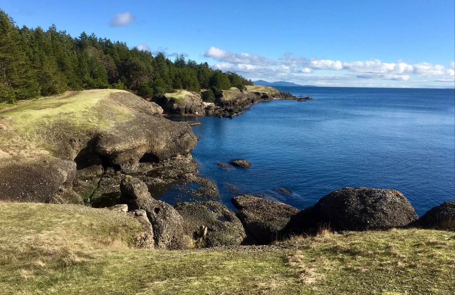 The beachfront in Pender Island, symbolizing the peace achieve with working with a psychologist in North Vancouver