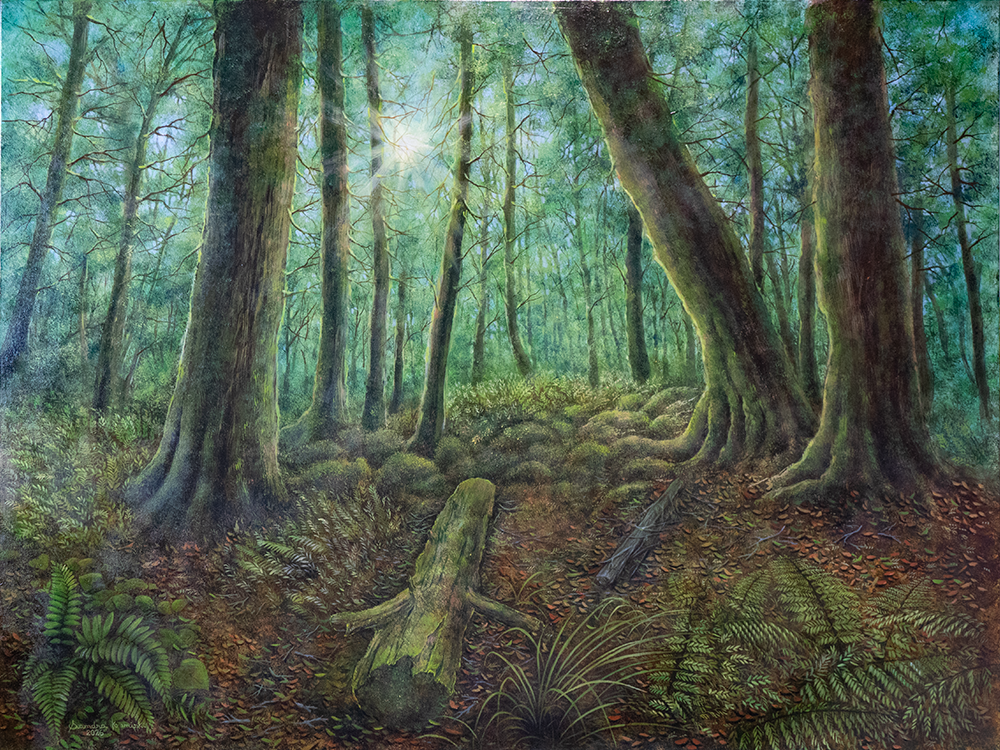 Mossy Forest