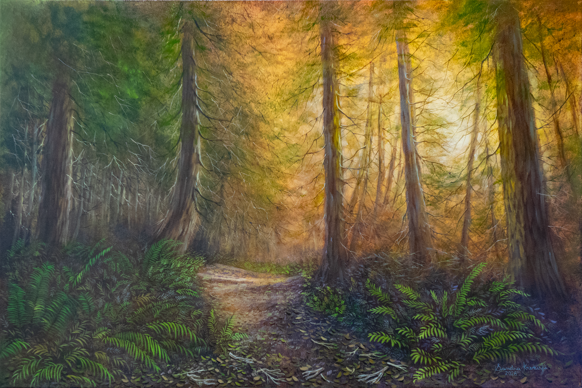 Trail with Pines