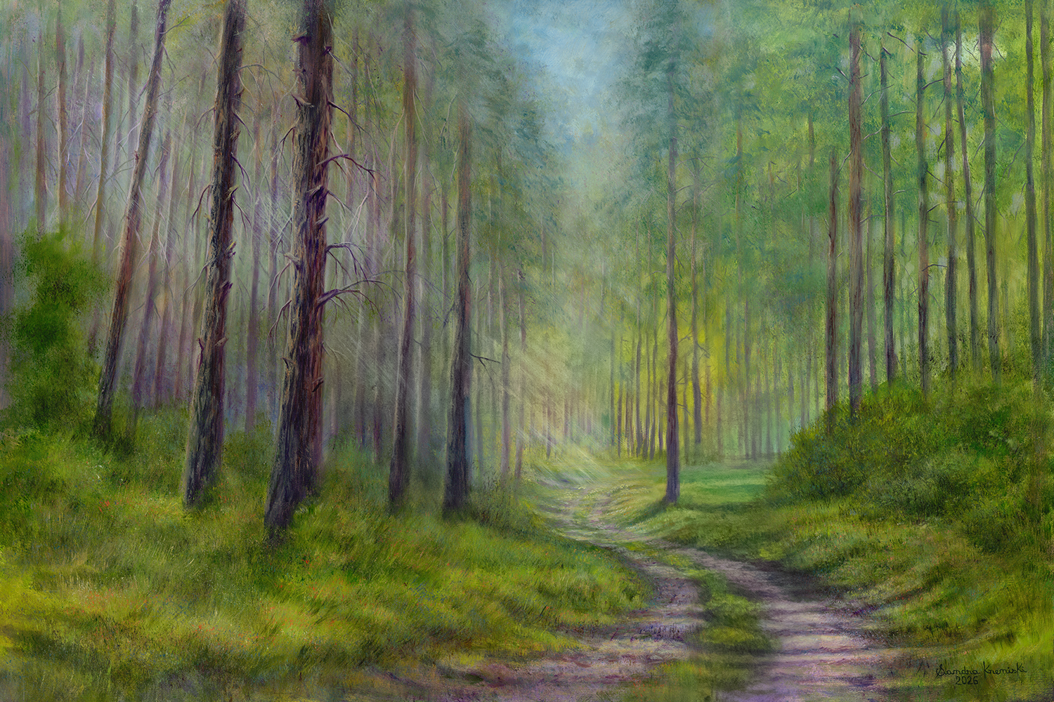 Walk in the Woods