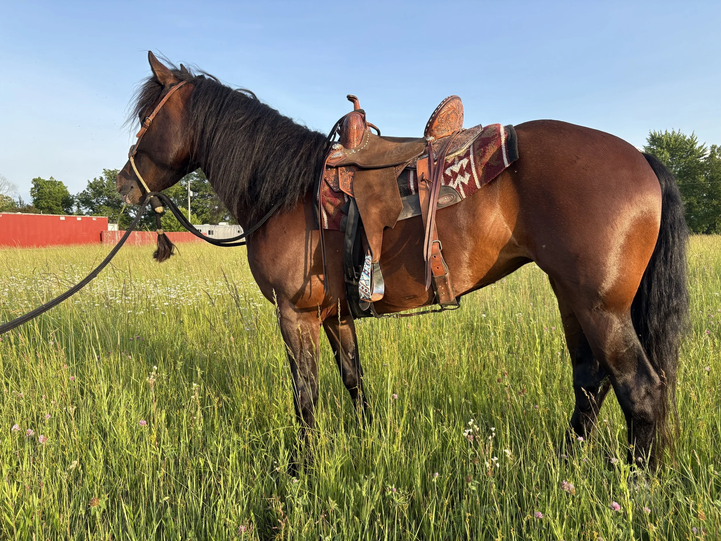 Bay Be Talk Dirty to Me (Denali)