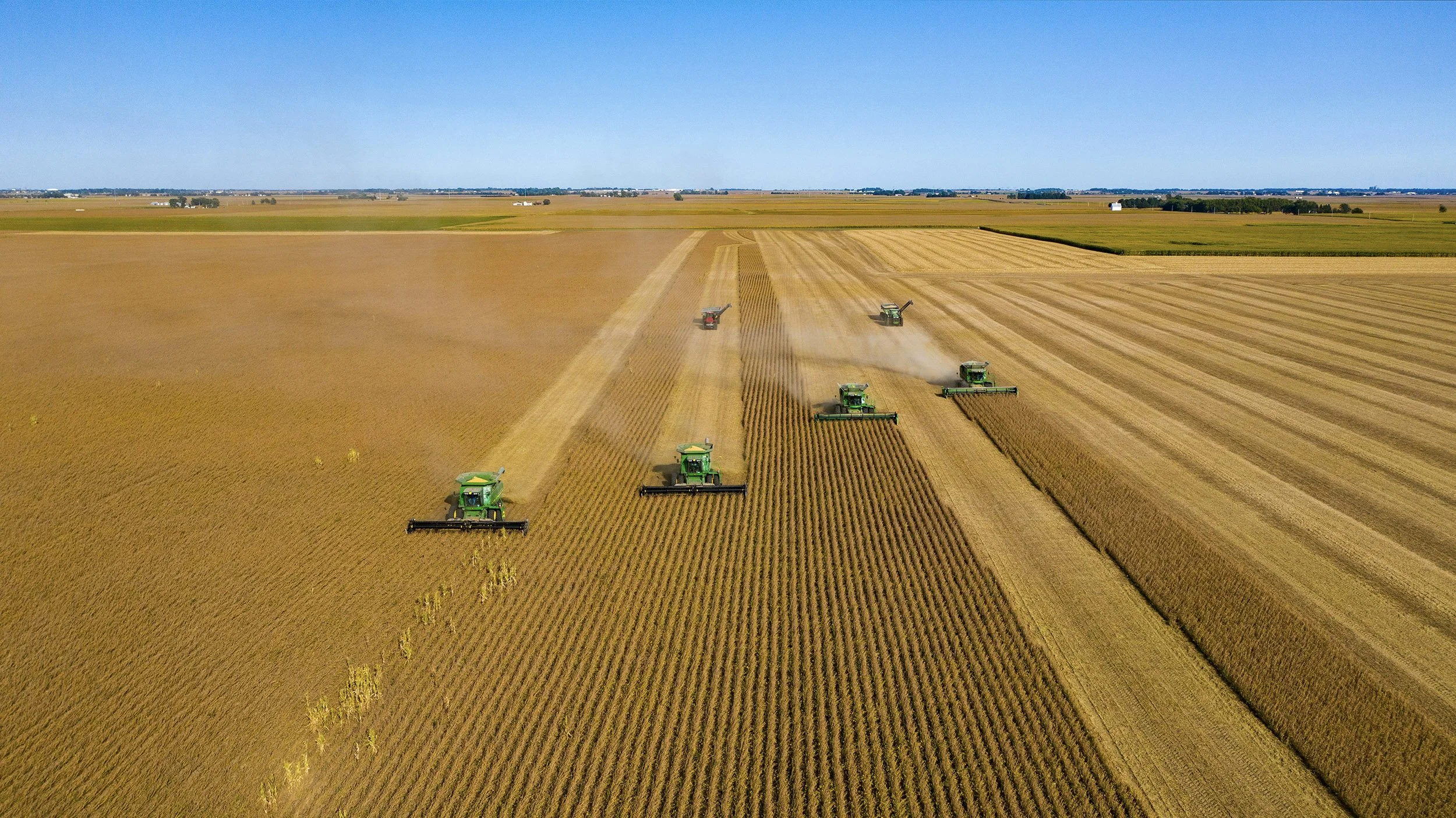 Green farm machinery, combines, harvesting soy beans in a vast field under clear blue sky.