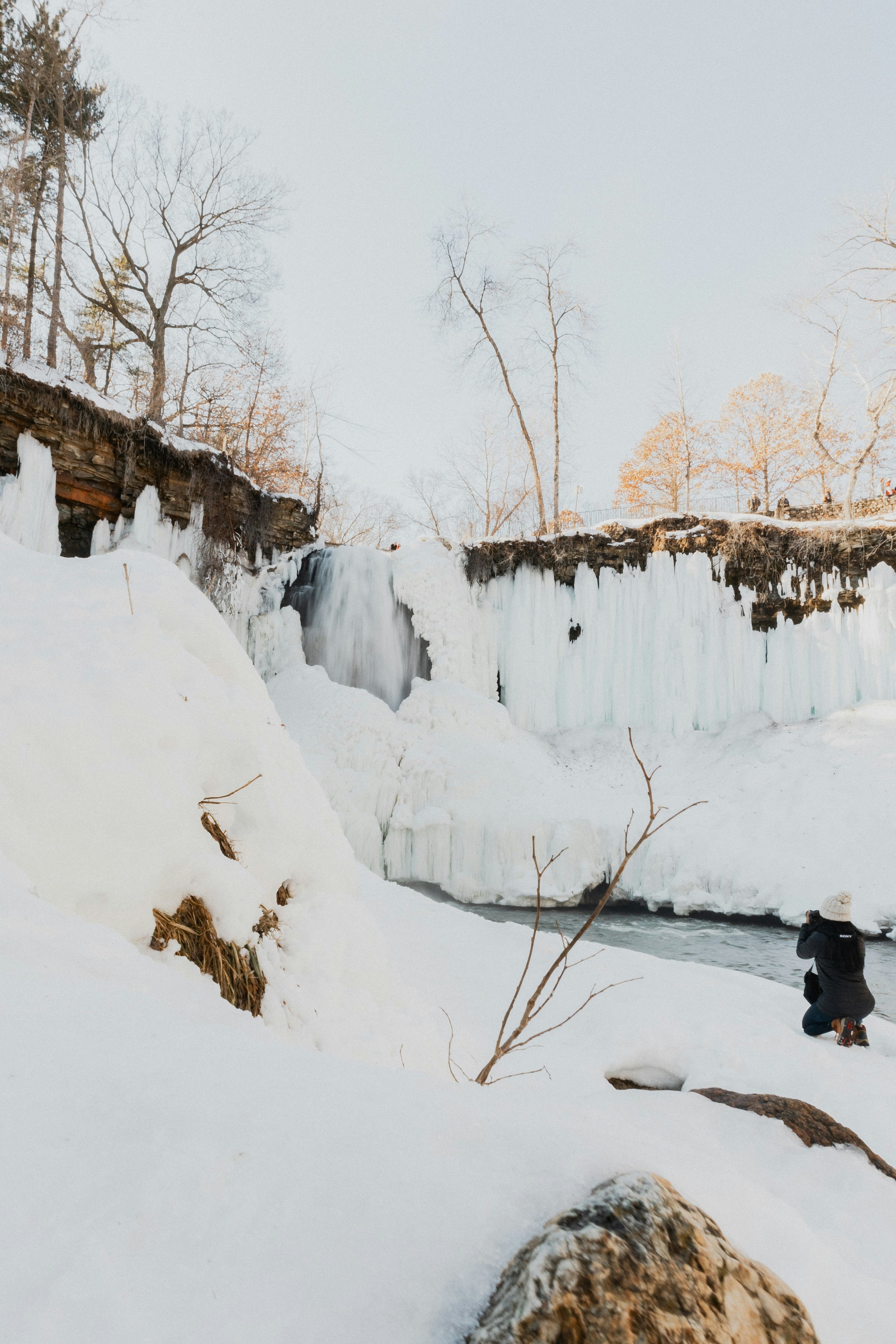 How to Set Up a Special Needs Trust in Minnesota