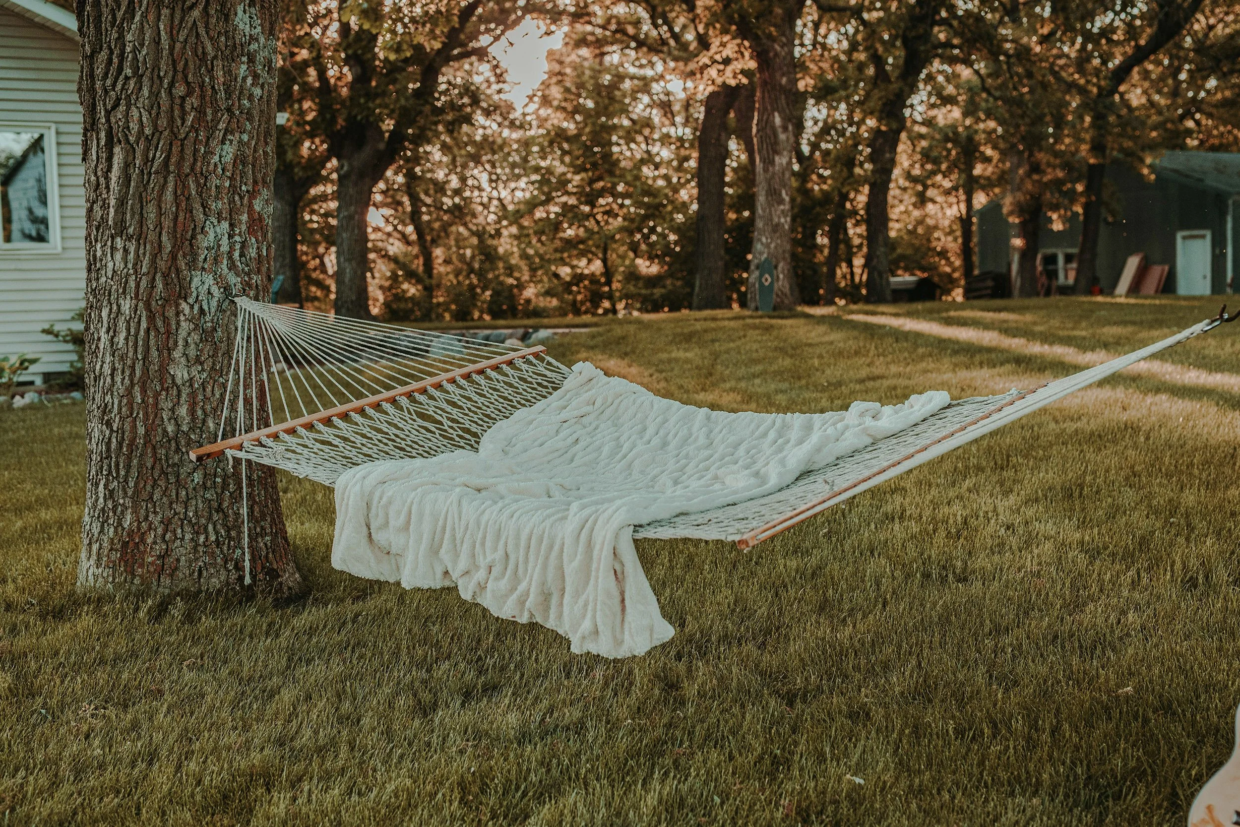 A hammock with a white blanket hanging between two trees in a backyard during sunset, with a house and trees in the background.