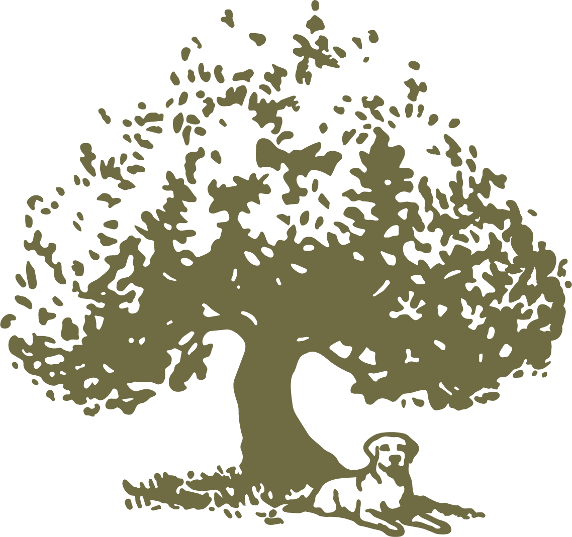 Silhouette of a large tree with dense foliage and a dog lying underneath it.