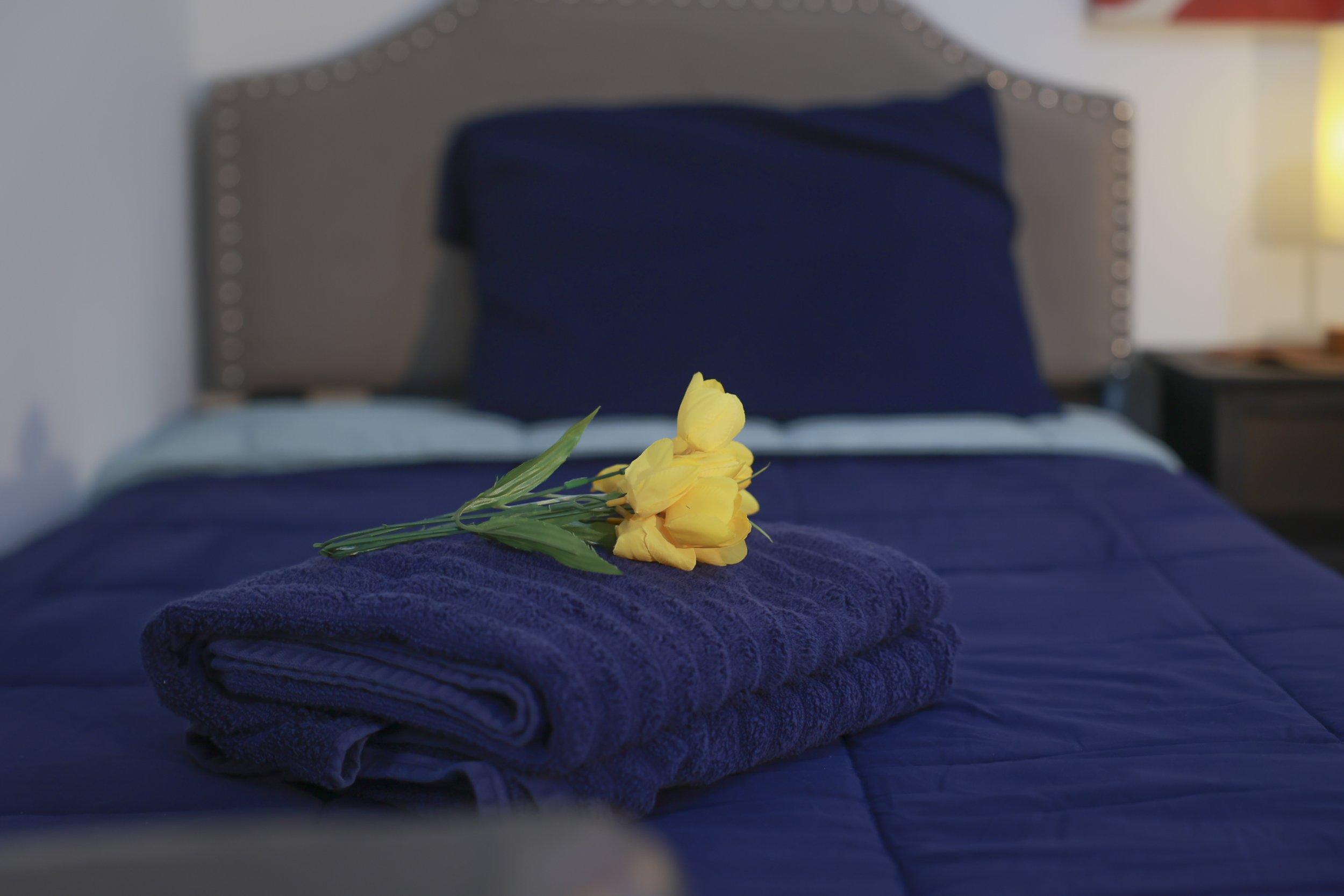 A neatly made bed with blue sheets and pillows, a folded towel, and a small bouquet of yellow carnations on top, in a bedroom with a nightstand and a lamp.