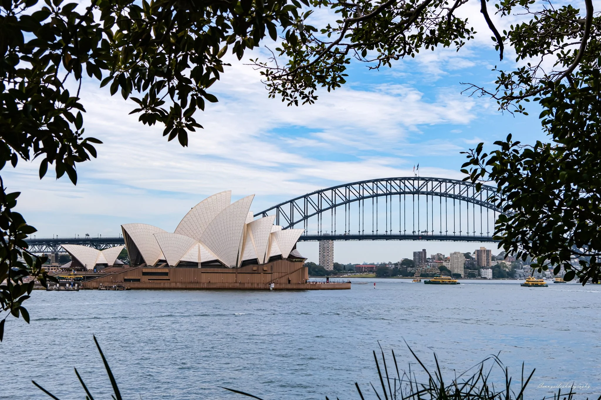 By Macquarie Ready-To-Frame Print