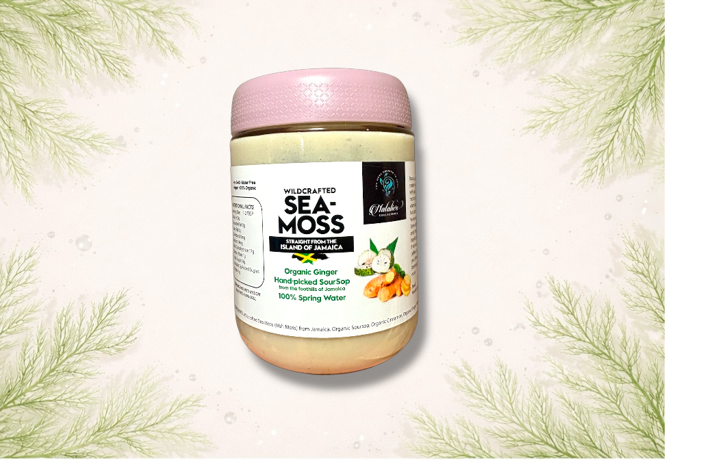 Ginger SourSop Sea Moss Gel