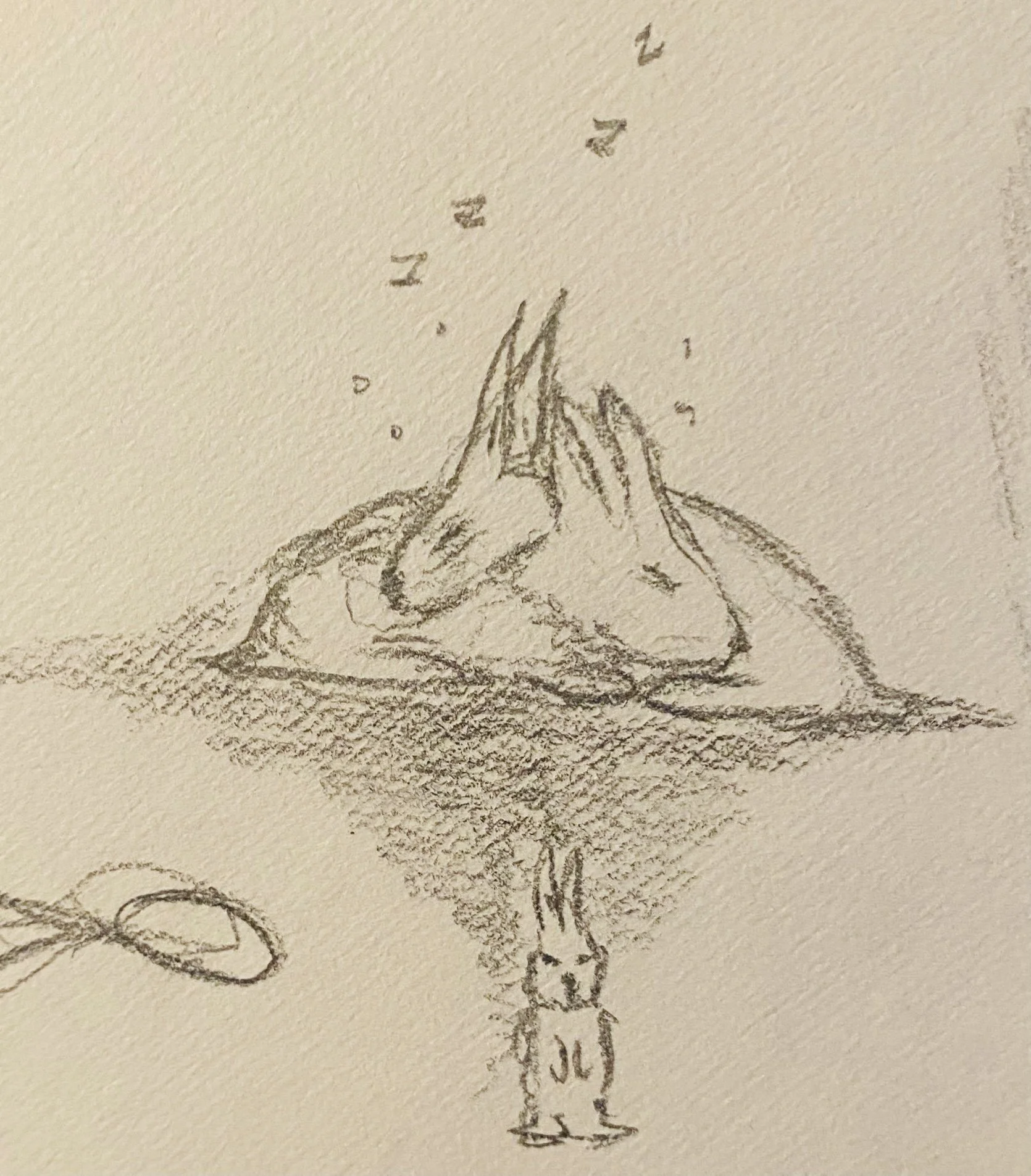 the rabbits are going to sleep tonight