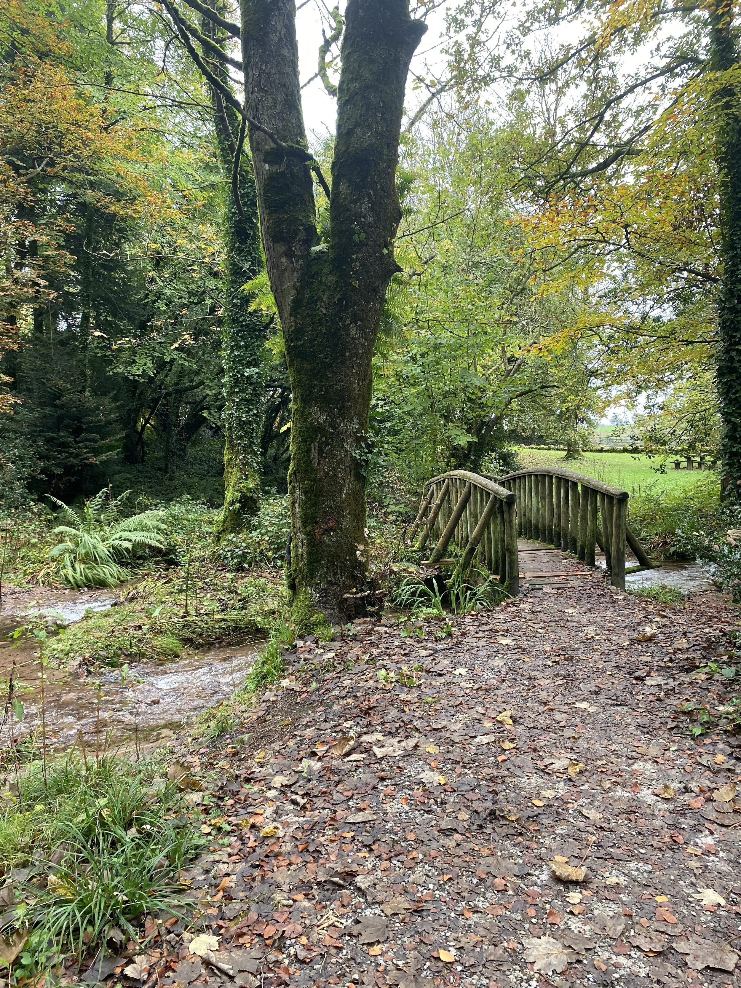 Symbiotic Synchronicities