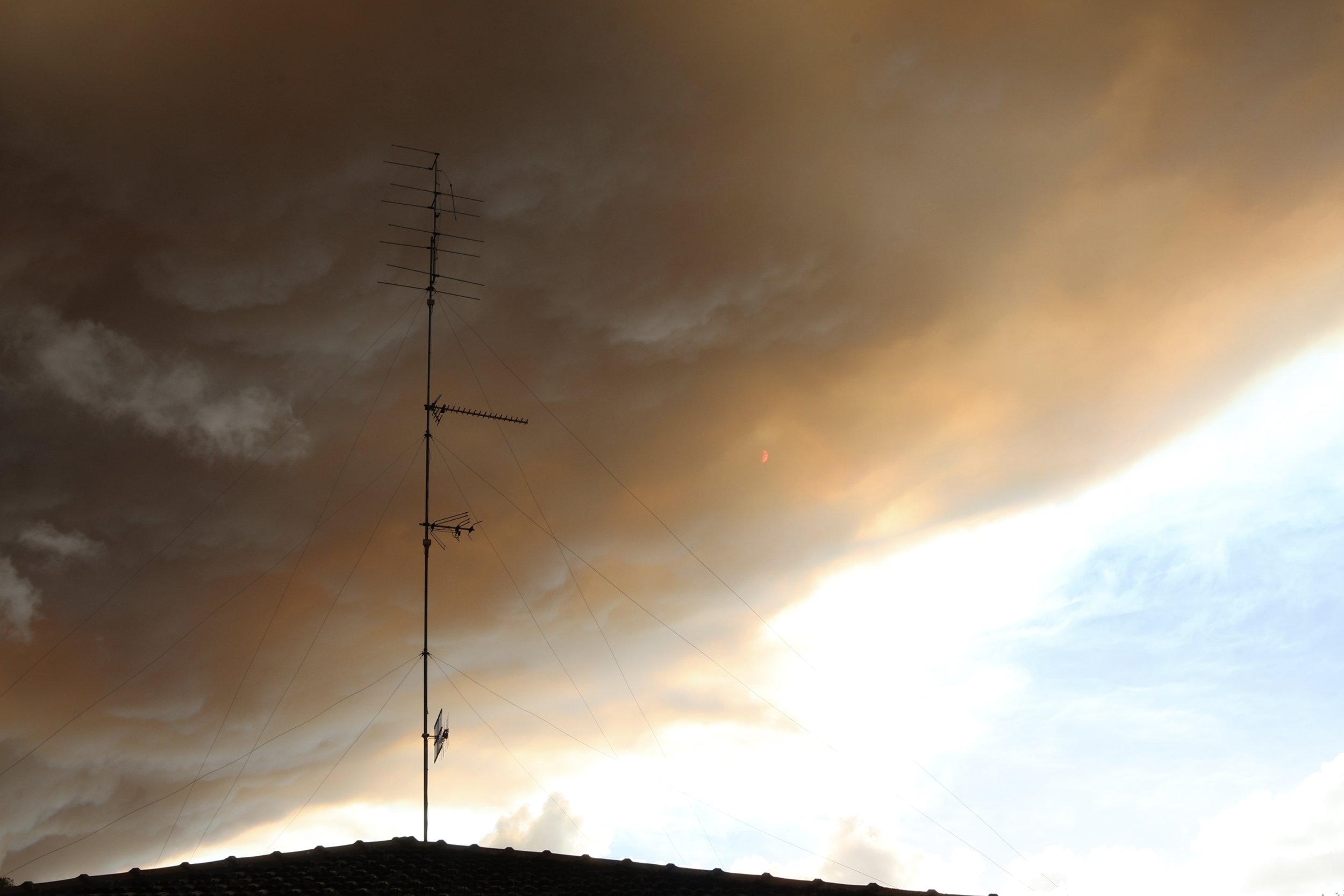 Horny Cows and the Fires Burning
