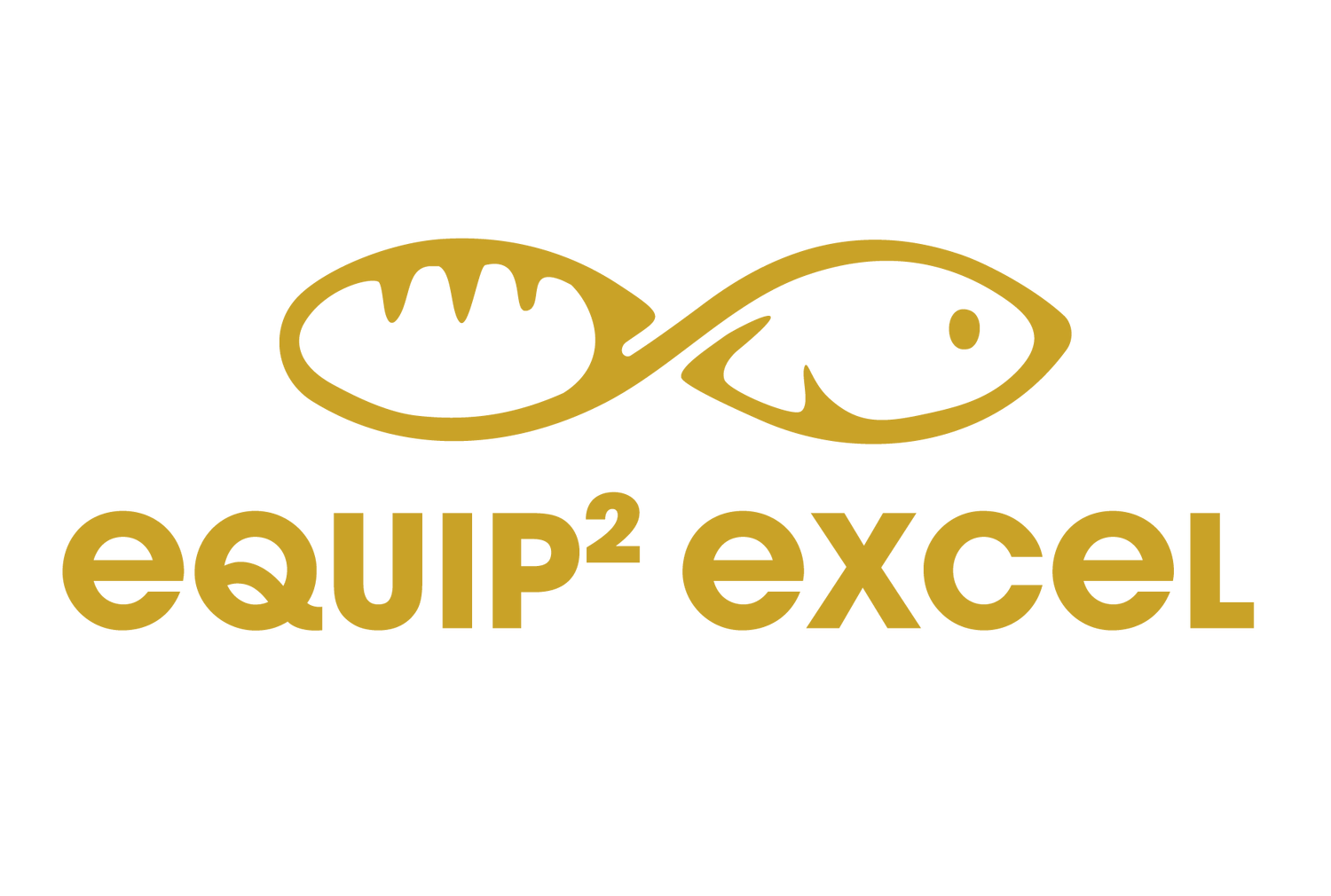 Equip 2 Excel