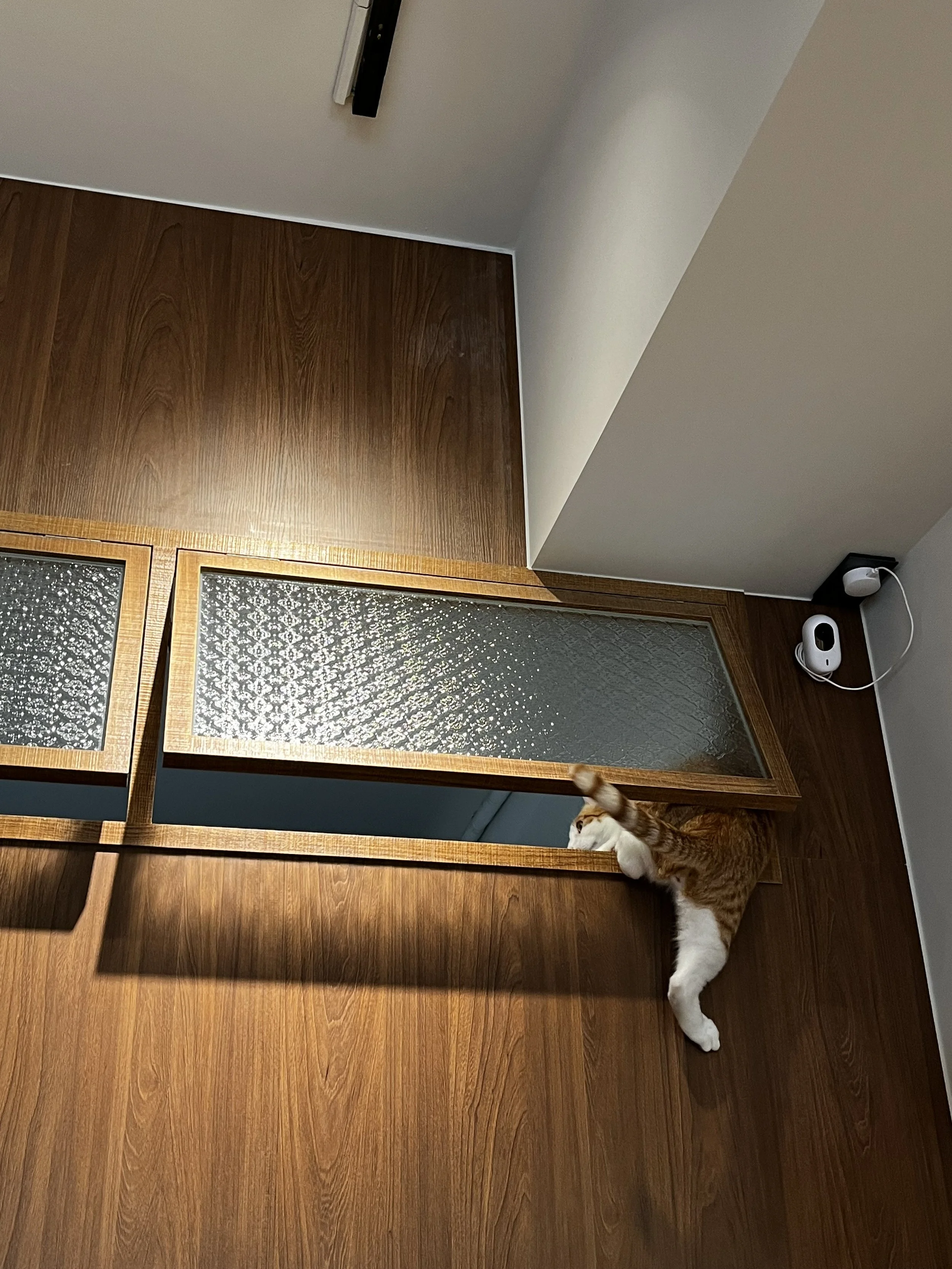 A ginger and white cat stretching on a wooden floor, partially under a wooden and glass cabinet in a room with wooden flooring and white walls.