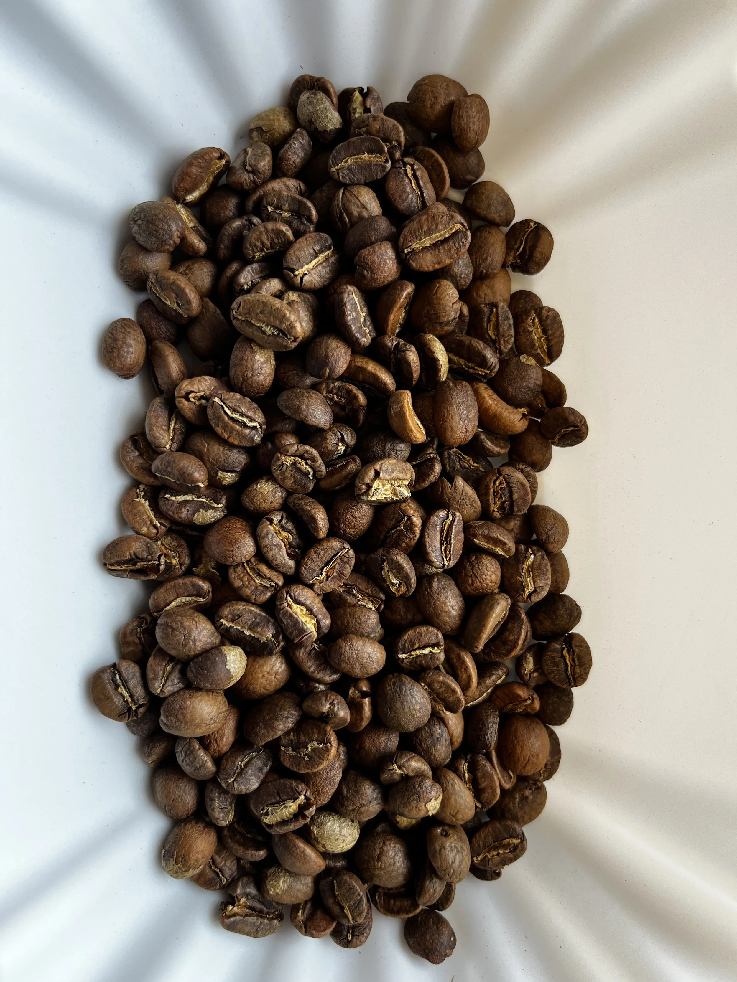 A white plate filled with roasted coffee beans.