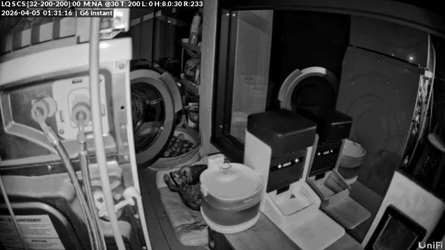 An indoor laundry or utility room with a washing machine, a dryer, a laundry basket, and a small stool or seat. There are various household items around, including a plastic container and a small pet or animal resting on a mat.