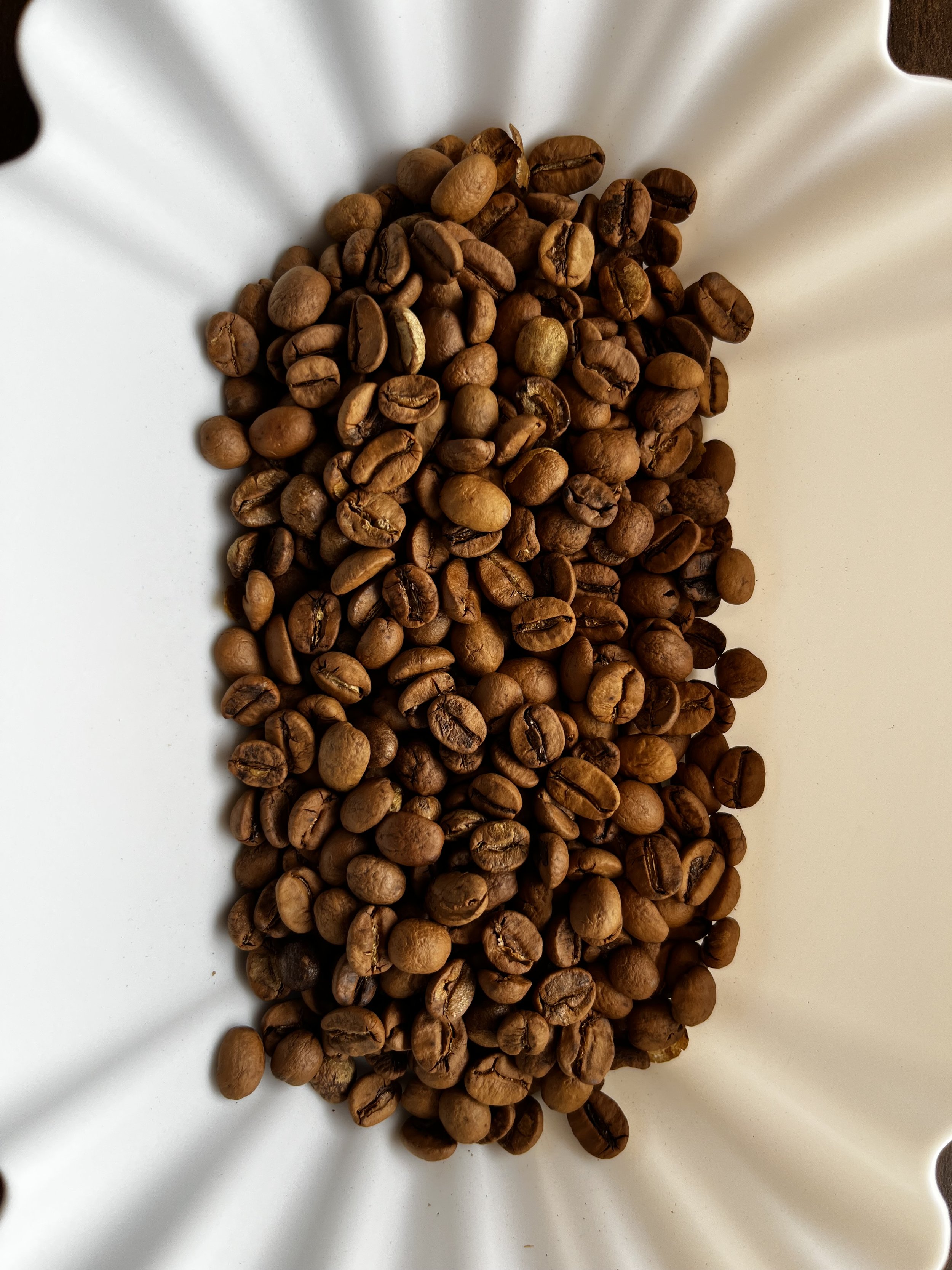 Roasted coffee beans on a white plate