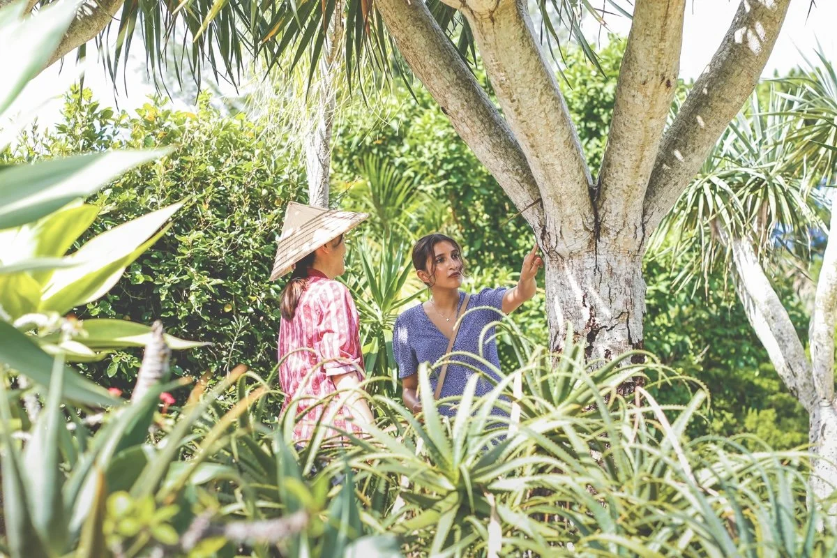 Two women in a lush garden or jungle with tropical plants, one woman wearing a conical Asian hat and striped pink shirt, the other in a blue shirt, examining or pointing at a tree.