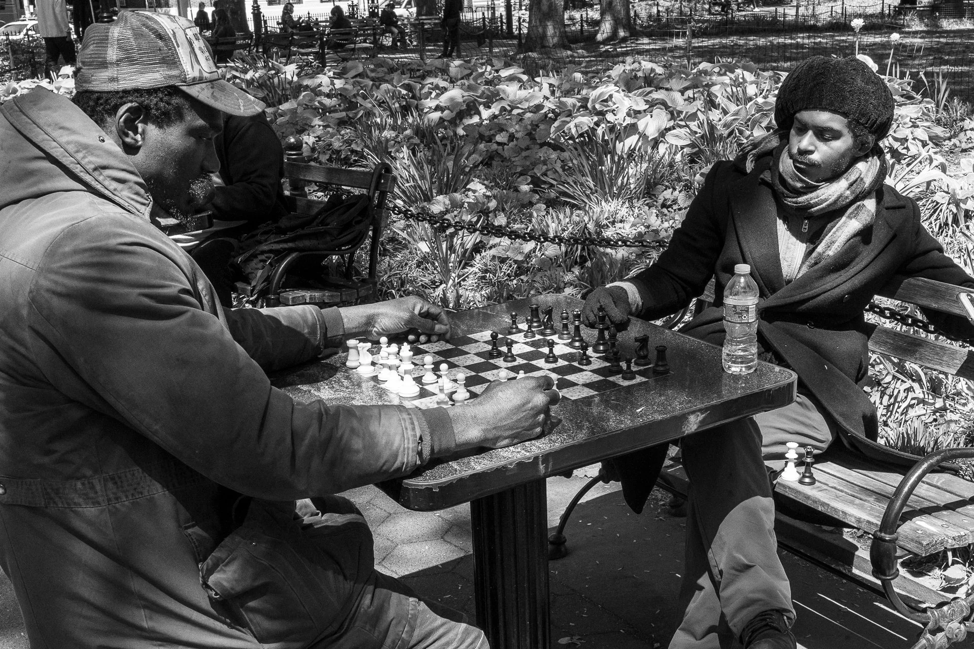 chesspark-2.jpg