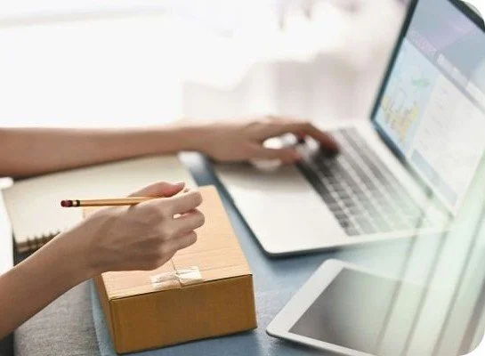 Logistics &amp; Program Control