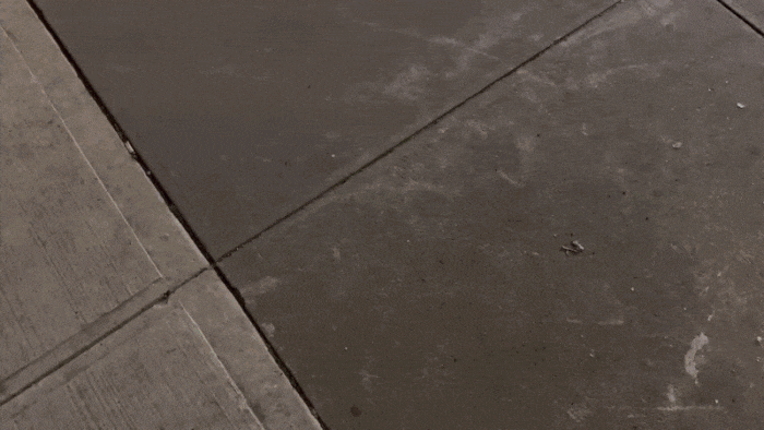 POIISON BILLBOARD.gif