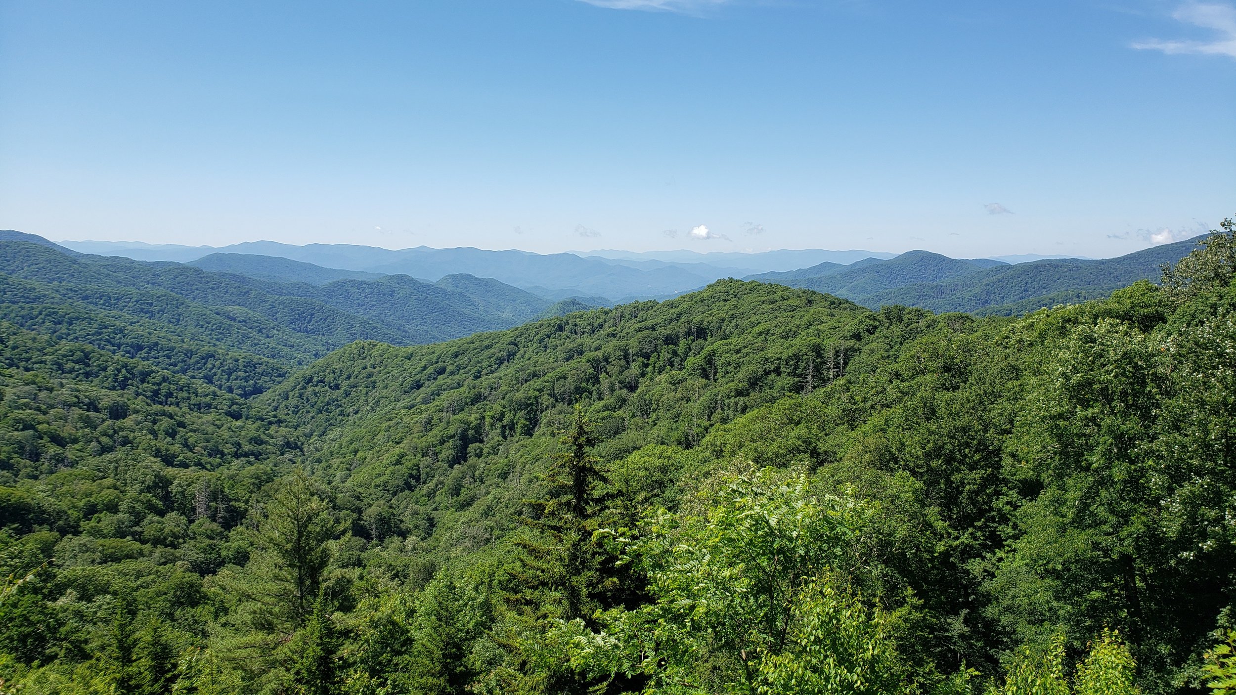 The Summit Collection