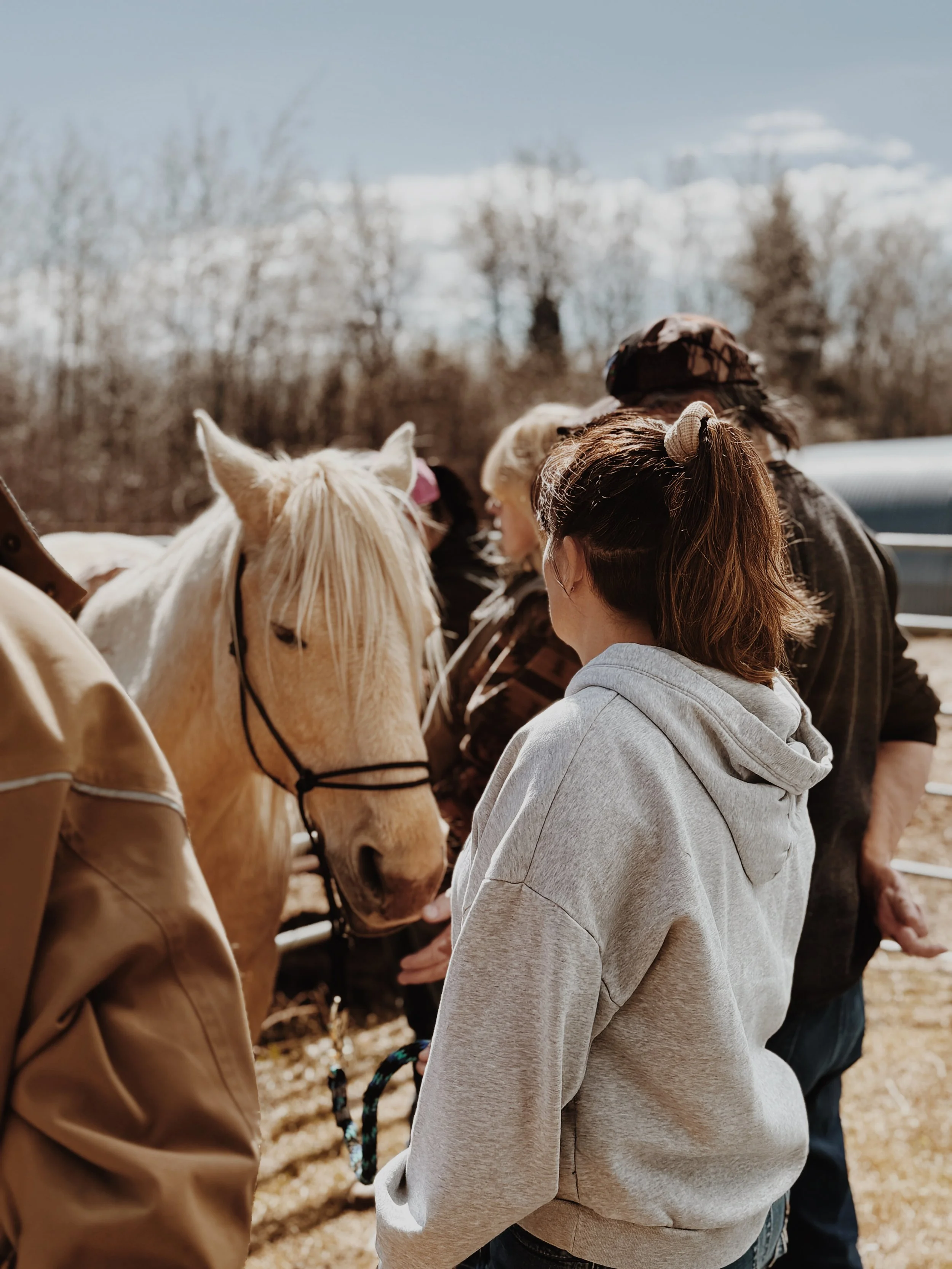 A person gently touching the face of a light-colored horse with a blonde mane outdoors.
